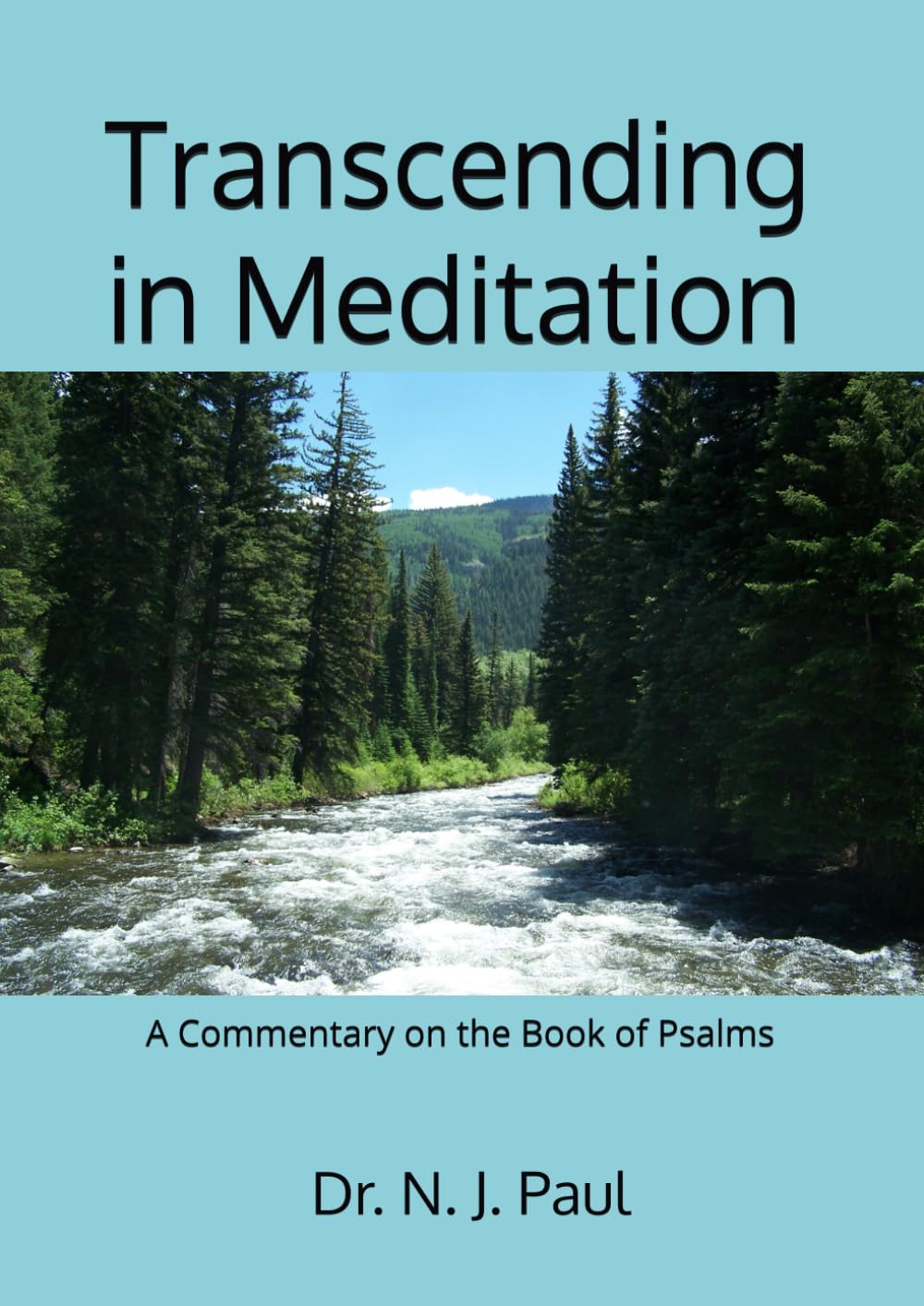 Transcending in Meditation: A Commentary on the Book of Psalms (Dr. Paul's Books)
