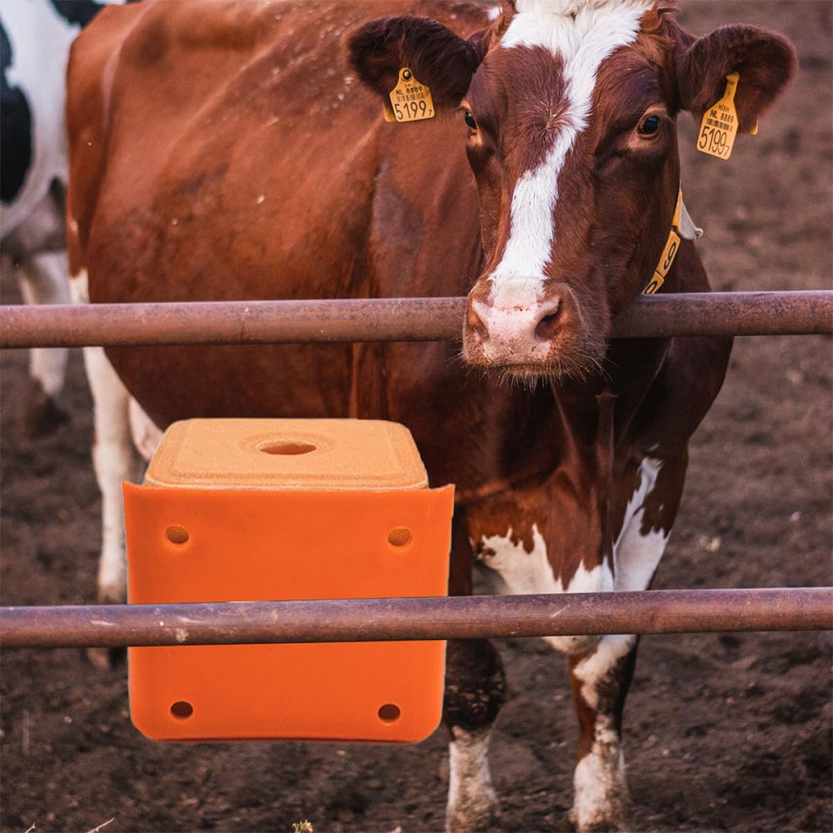 Artibetter Distributeur de Sel pour Moutons et Bétail 2 Pièces en Pe Épaissi, Support Robuste Cylindrique pour Bloc Minéral, pour Élevage Agricole Style Aléatoire