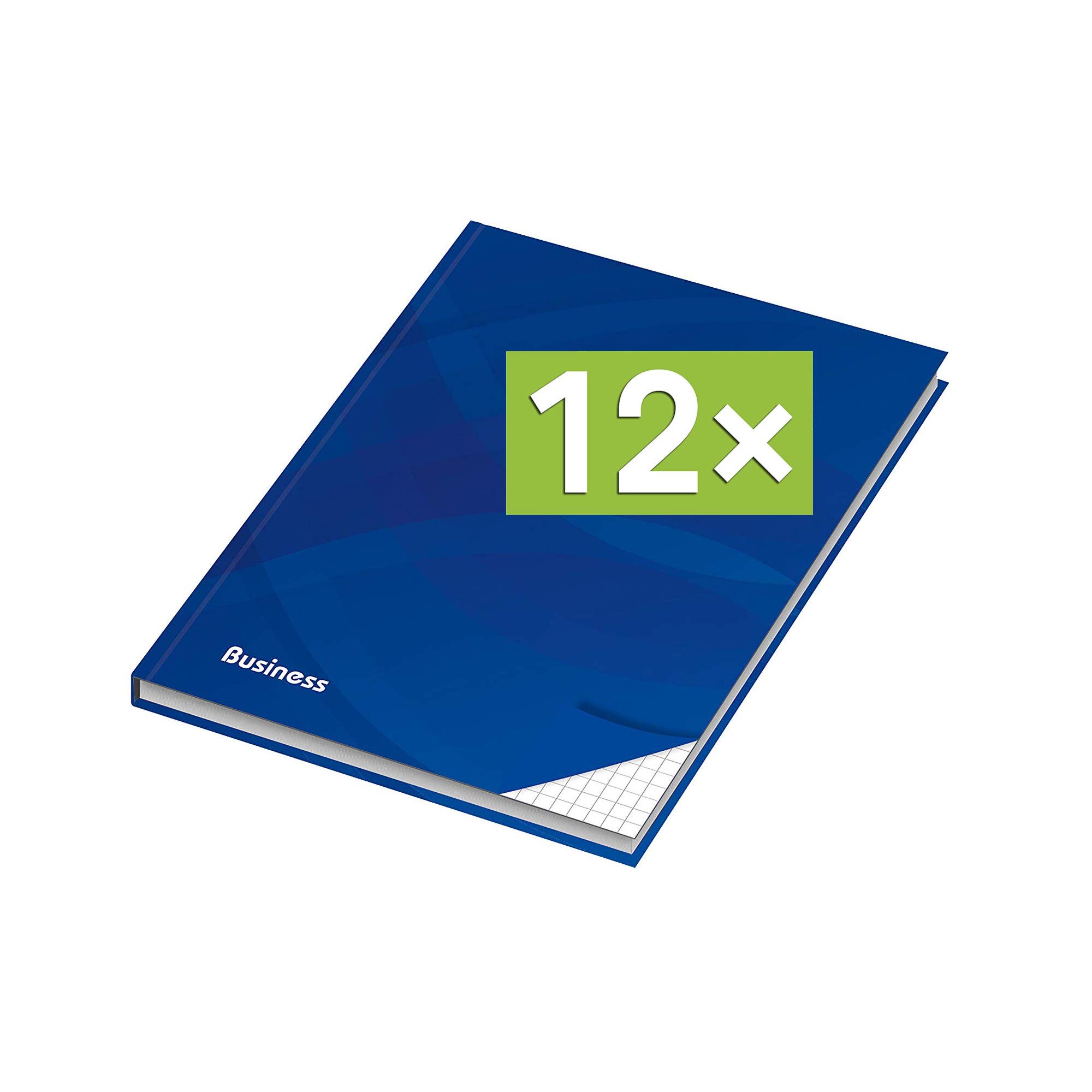 RNK - Verlag Notizbuch mit Hardcover-Einband, 96 Blatt, Notizheft, Tagebuch, Schreibbuch (12er Pack A4 (Kariert))