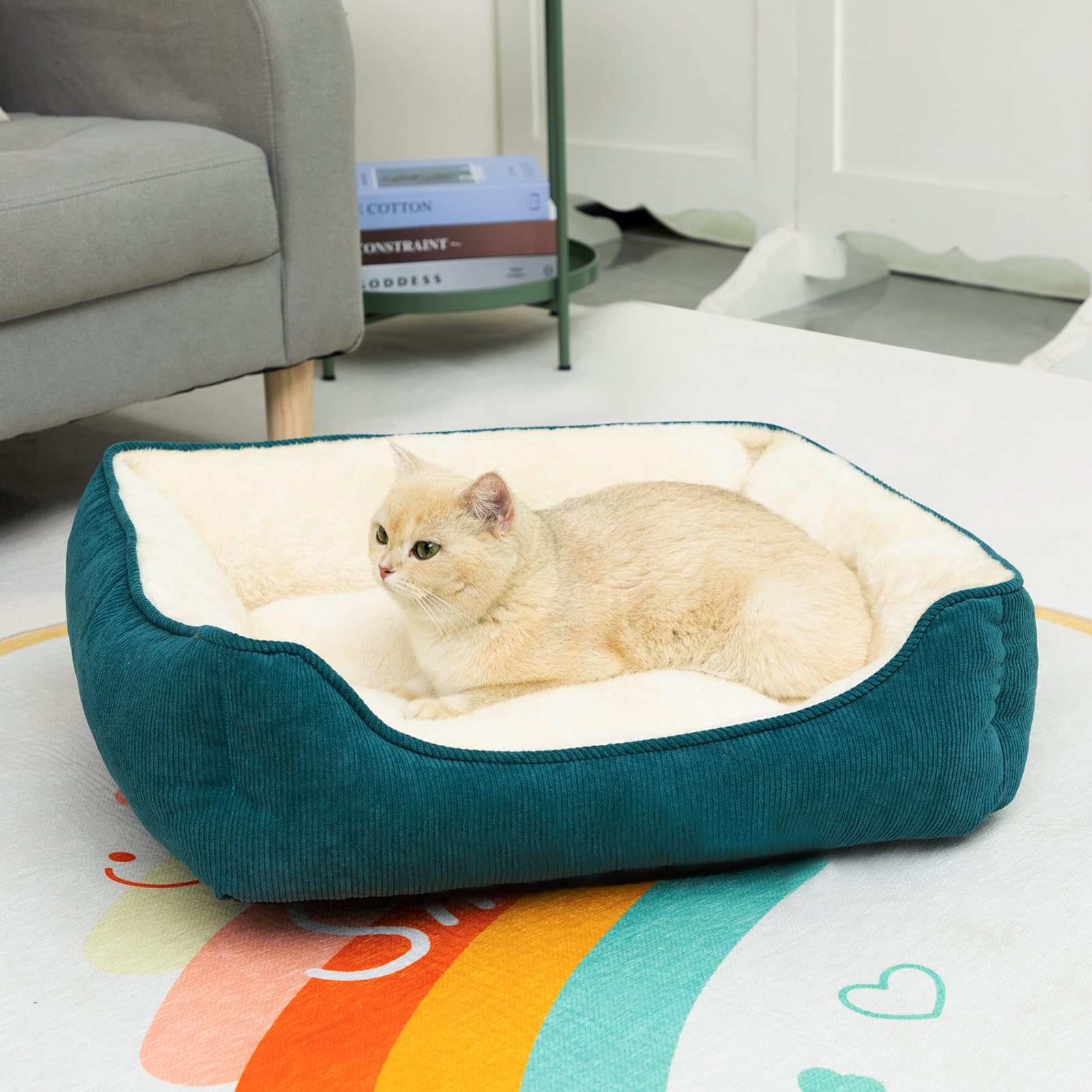 Hollypet Cat Bed Small Dog Bed Pet Bed for Cats and Puppy Soft Pet Sleeping Bed Breathable Pet Cushion, Green(55 * 45 * 15cm) - Image 3