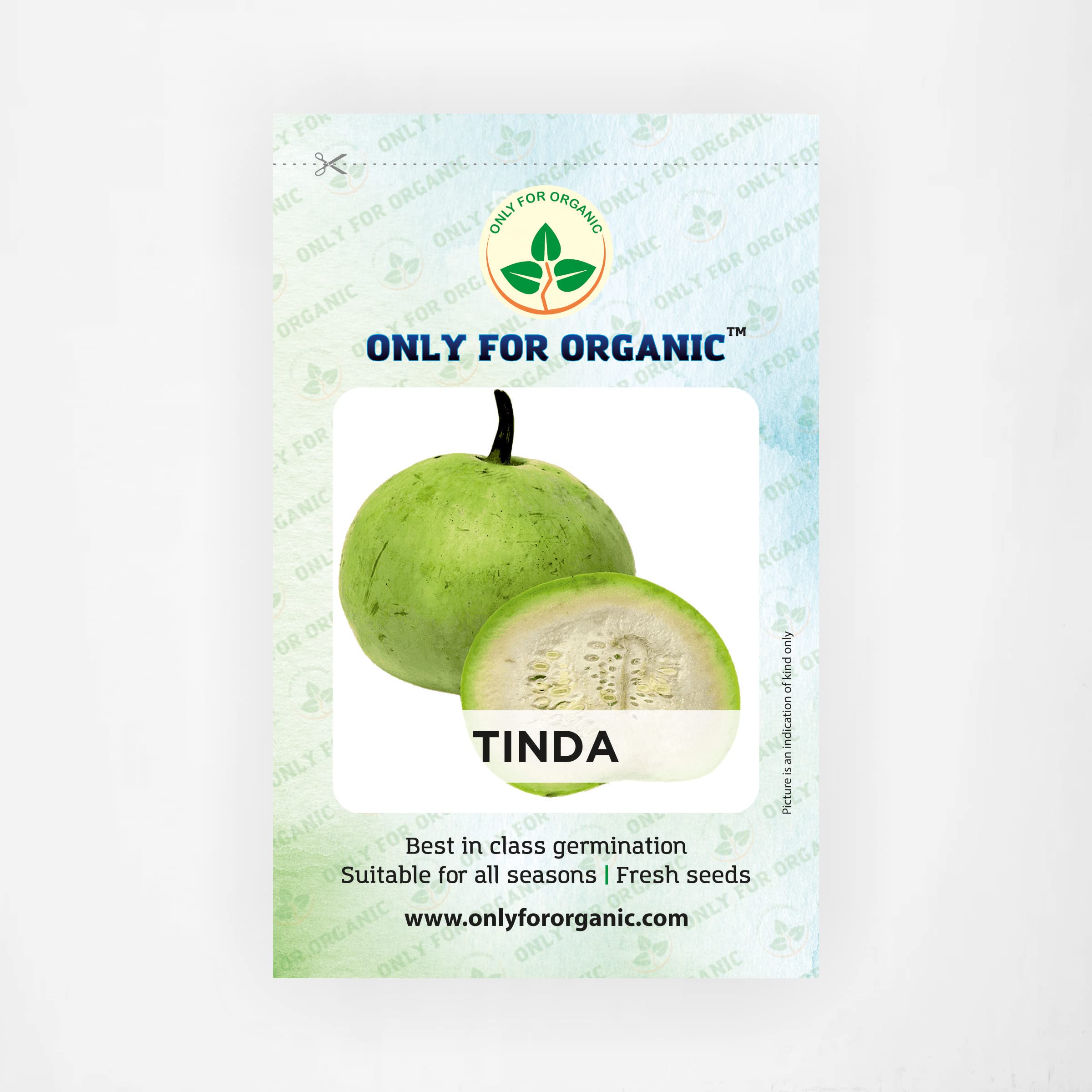 Only For Organic Tinda Seeds (20 Nos) (B09WN9QDP7) Amazon Price History, Amazon Price Tracker