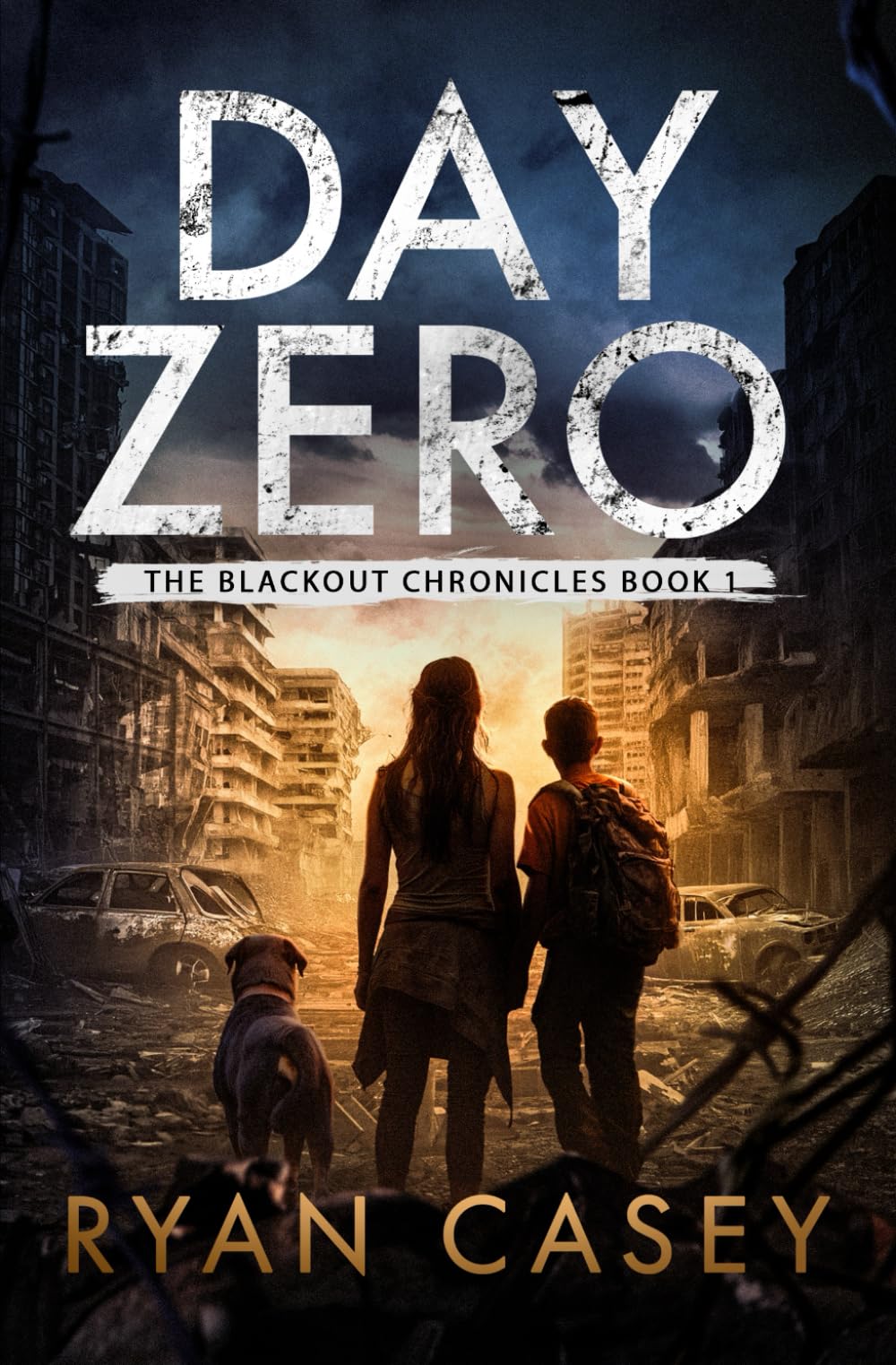 Day Zero: A Post-Apocalyptic Survival Thriller (The Blackout Chronicles)