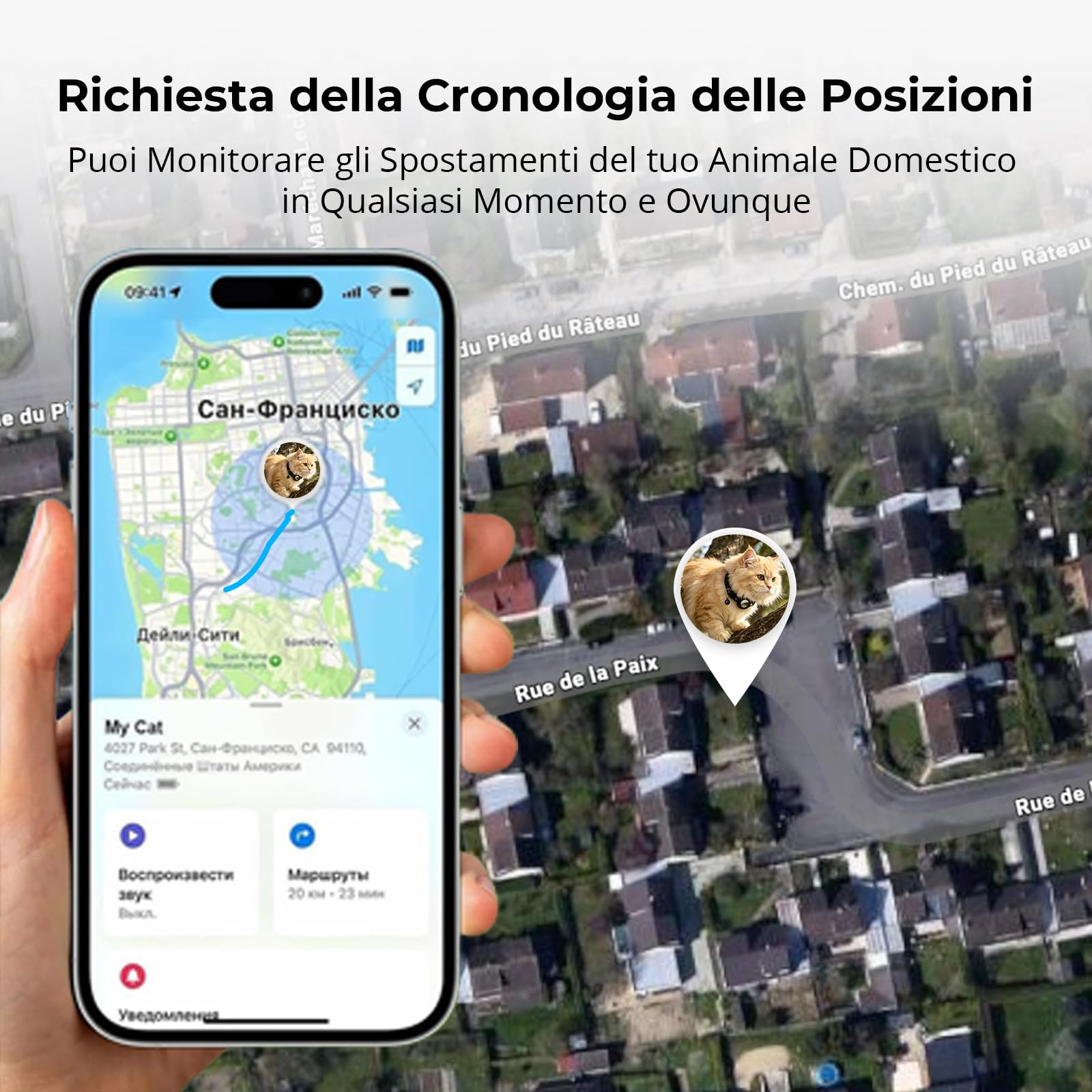 Localizzatore GPS per Gatto, Collare per Cani con Posizionamento Ausiliario, Cronologia delle posizioni, Cat Tracker, Senza Abbonamento Compatibile con IOS & Android
