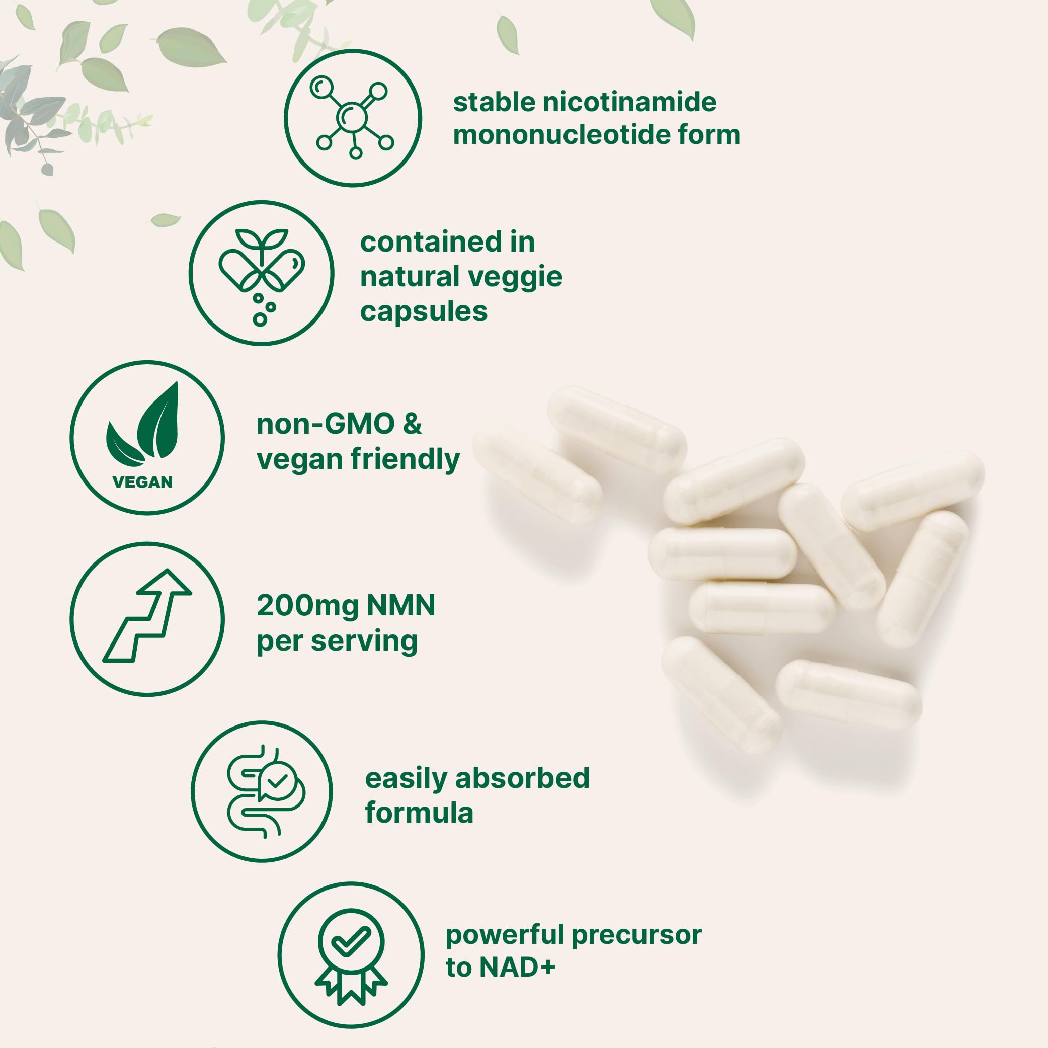 Micro Ingredients NMN 200mg Per Serving | 120 Veggie Capsules – 60 Servings | Easily Absorbed Nicotinamide Mononucleotide Form | NAD+ Precursor & NR Supplement Alternative | Non-GMO, Vegan — Amazon image 3