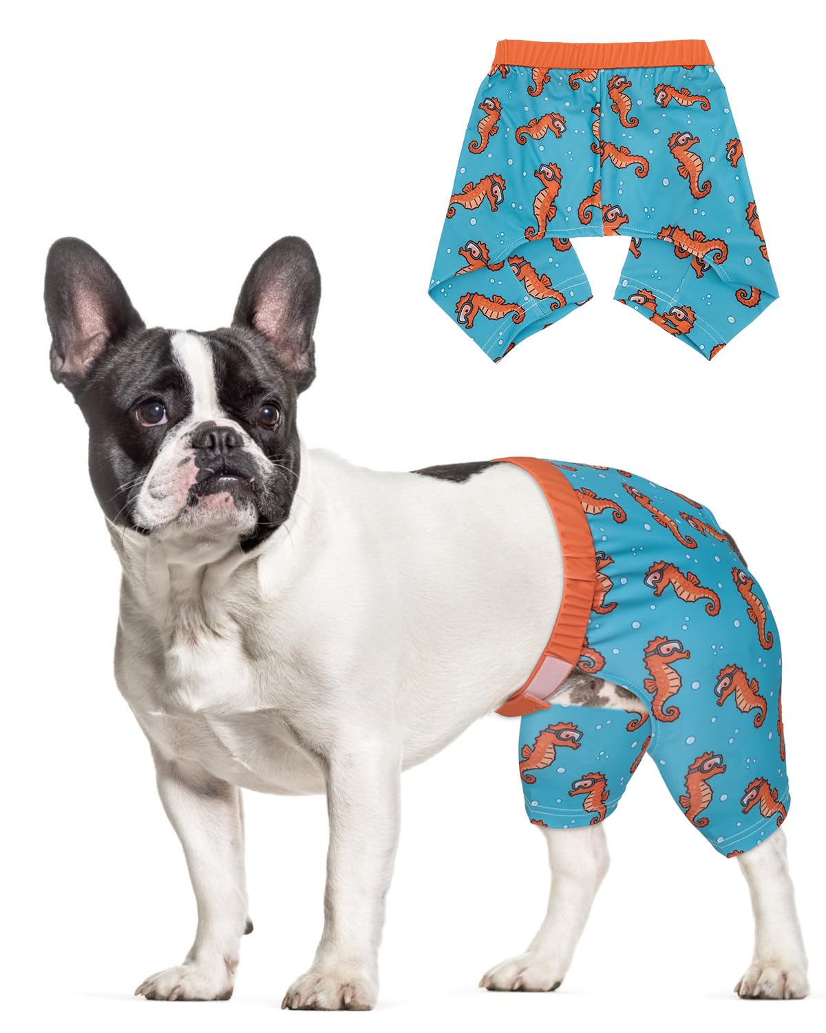 CuteBone Dog Swim Trunks Swimsuit Durable &amp; Comfortable - Quick-Dry, Adjustable Waistband Shorts, UV Protection Bikini- Perfect for Beach, Pool &amp; Outdoor Fun, Dinos DST16XL