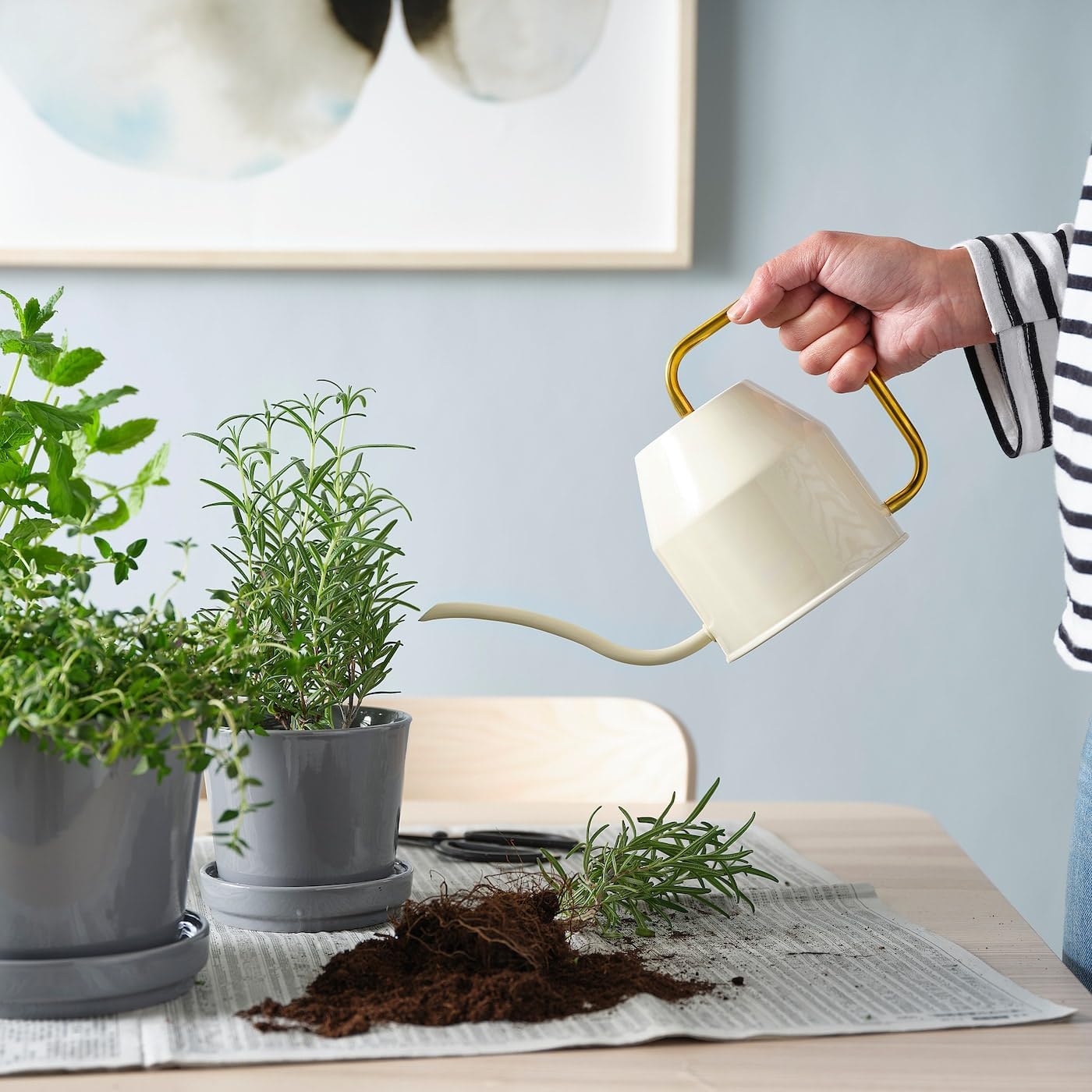 Modern Watering Can with Long Spout, 30 oz Capacity, Ivory and Gold, Set of 2