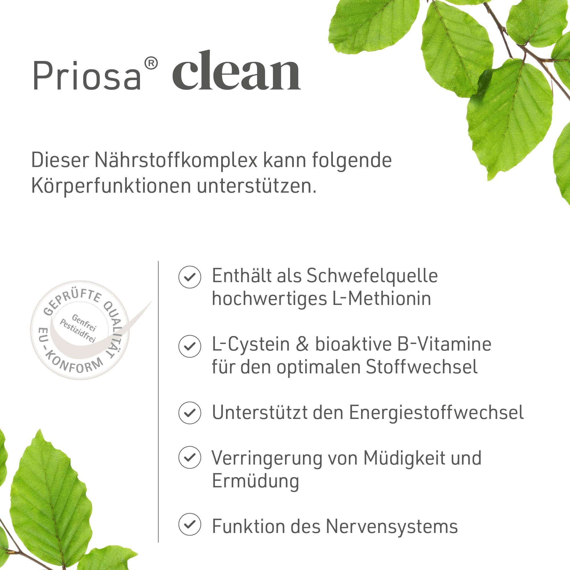 Priosa® CLEAN – Aminosäuren- & Schwefel-Komplex mit Vitamin B12, 100 Kapseln I Vitalstoff-Mix & Schwefel-Lieferant I Mit L-Methionin, L-Cystein, MSM, & B-Vitamine I Vegan