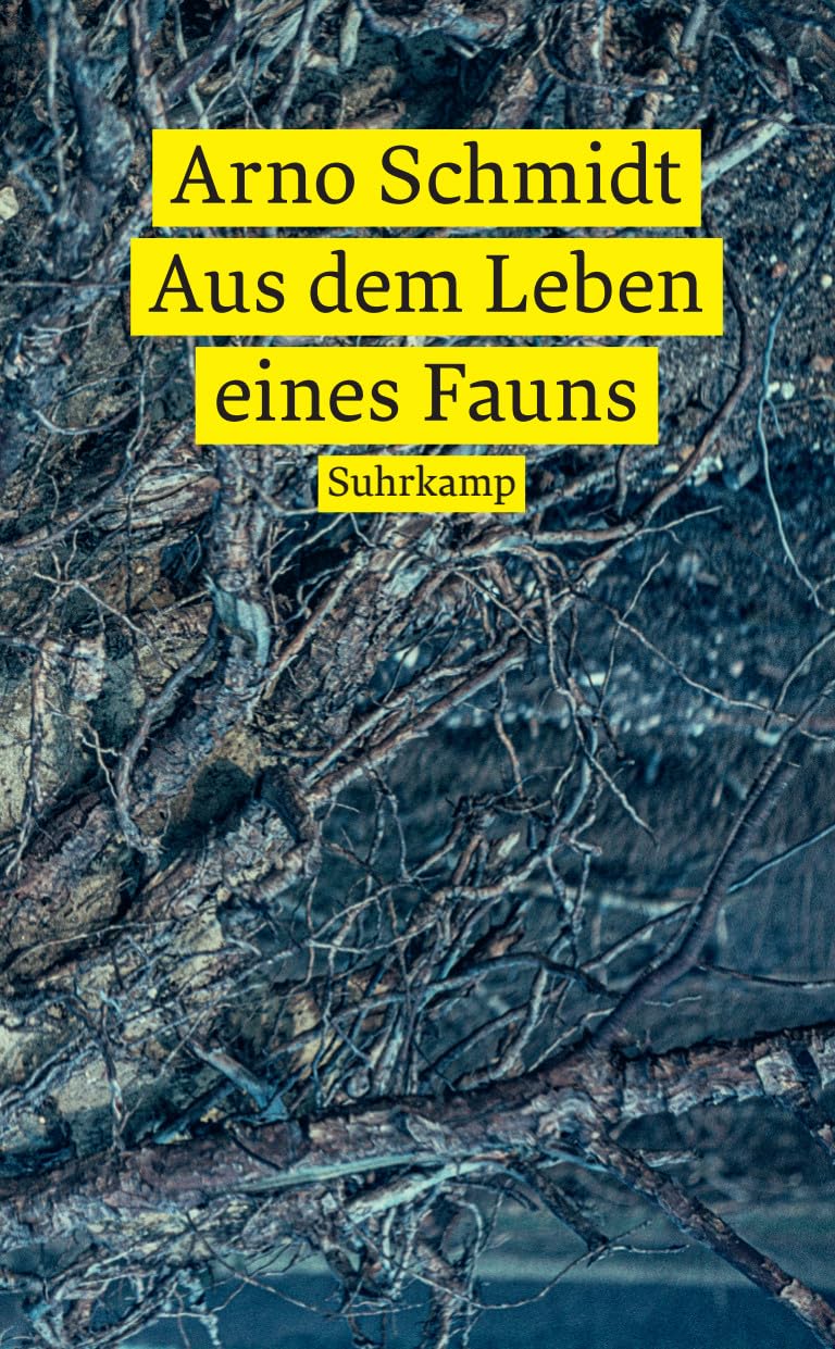 Suhrkamp Verlag Aus Dem Leben Eines Fauns: Roman (Suhrkamp Taschenbuch)
