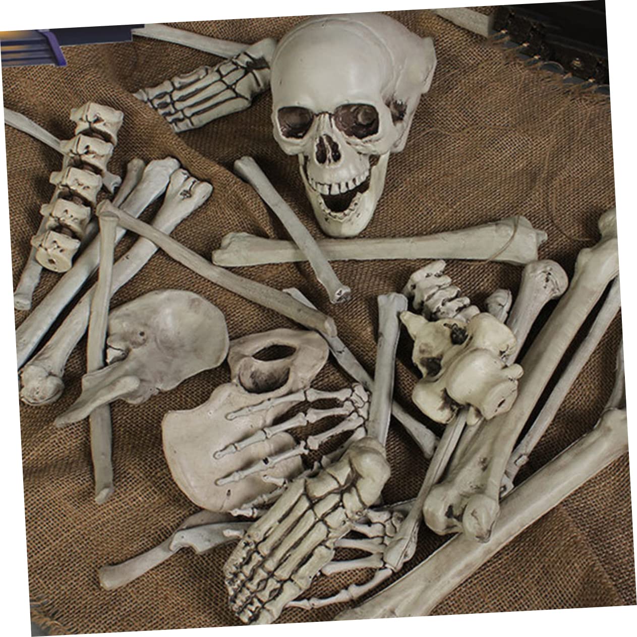 Abaodam 1 Paquete Esqueleto De Cráneo De 28 Piezas Esqueleto Falso Decoración De Esqueleto Decoración del Cráneo De Halloween Decoraciones De Plástico De Succión Abs Verderón Hueso