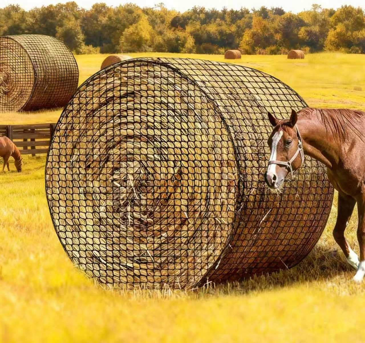 5x5 ft Large Round Bale Hay Net for Horses and Goats, Knotless Slow Feed Hay Net with 2" Holes, Heavy-Duty Hay Feeder Net Fits 4x5 & 5x5 Round Bales