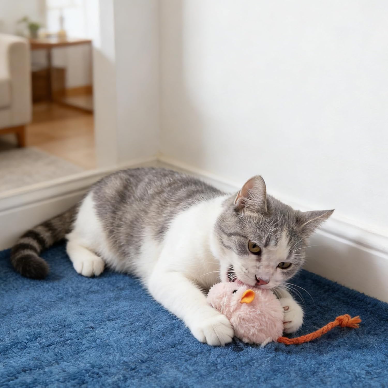 Peiiwdc Stuffed Kitten Toy Soft Chewing Teething Game Keep Busy Exercise Training Interactive Toy