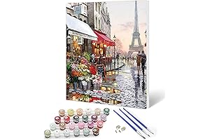 Paint By Numbers Kits for Adults Paris Paintings with Wooden Frame DIY...