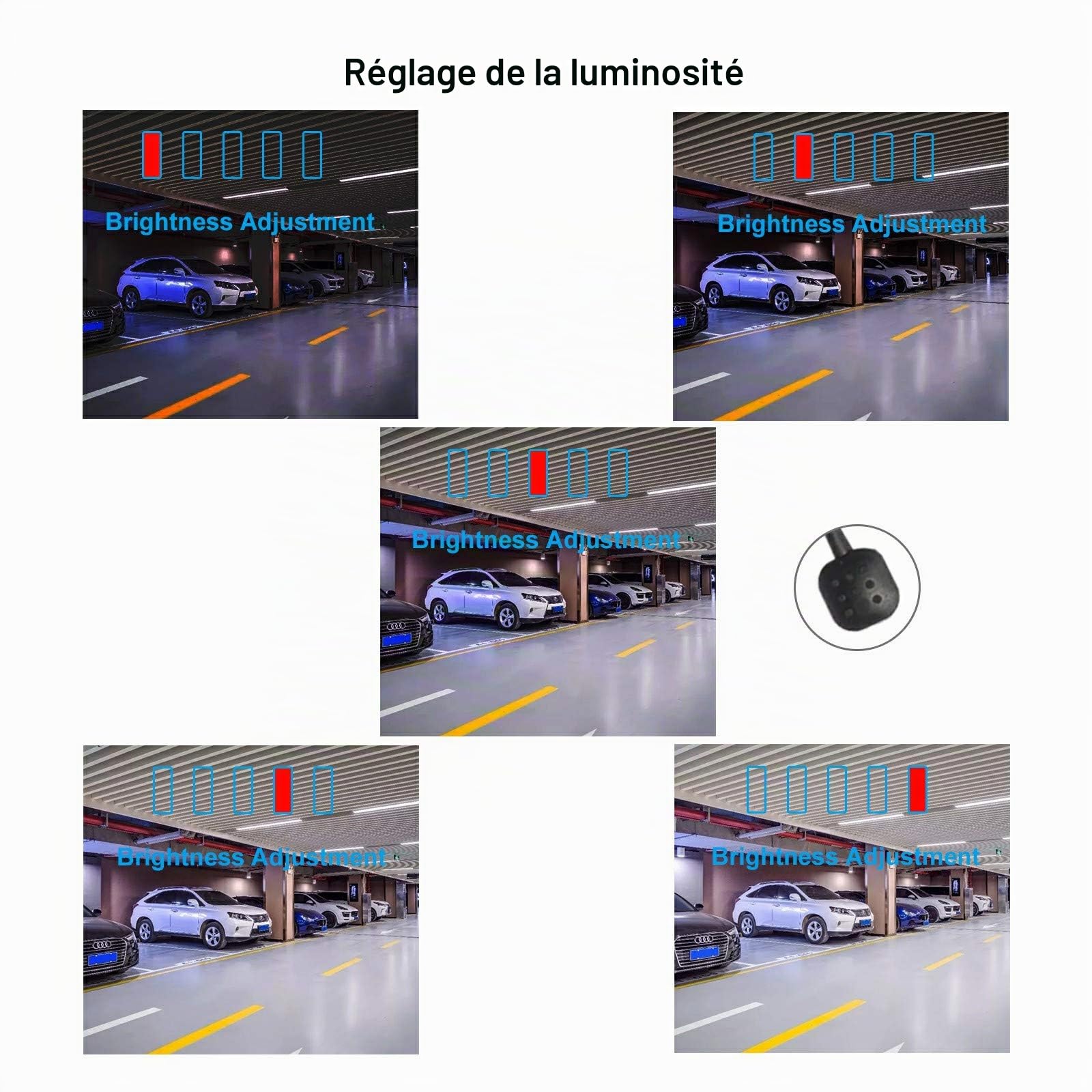PARKVISION Caméra recul NTSC CVBS 12-24V, Boutons intelligents