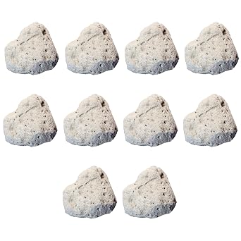 Pumice Rock Specimens 10 Pieces - Metamorphic Rocks for Science Classrooms - Geologist Selected & Hand Processed - Class Pack, Education Collection