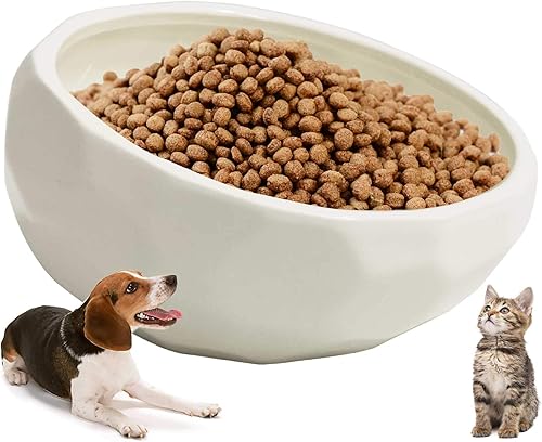 kathson Cuenco inclinado de cerámica para perros inclinado 15 para comida para gatos, cuencos de agua, plato de alimentación cómodo para mascotas,