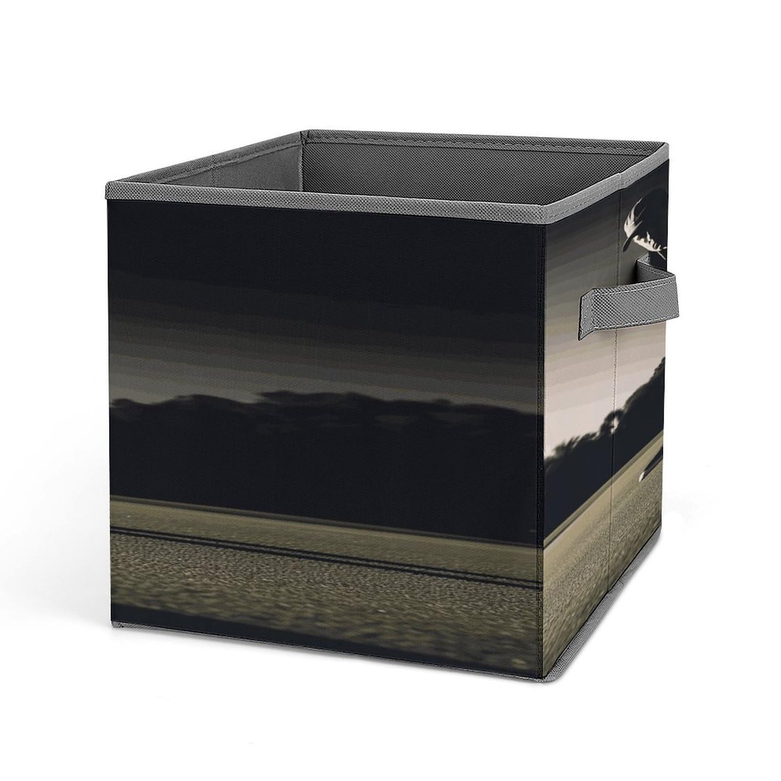 Fekiloot Style Golf Fitness Storage Bins Storage Baskets