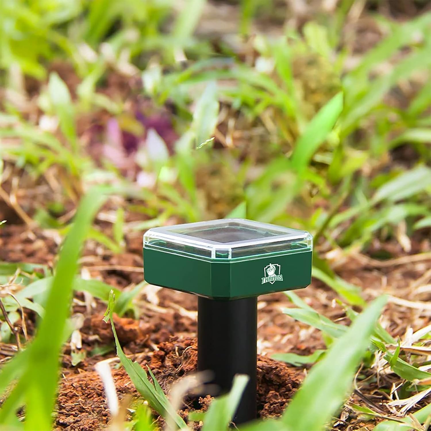 Thanos Solar Mole and Groundhog Repellent Stakes Sonic Gopher Repeller Vole Deterrent Spikes - Get Rid of Burrowing Animals Waterproof (8, Green) : Clothing, Shoes & Jewelry