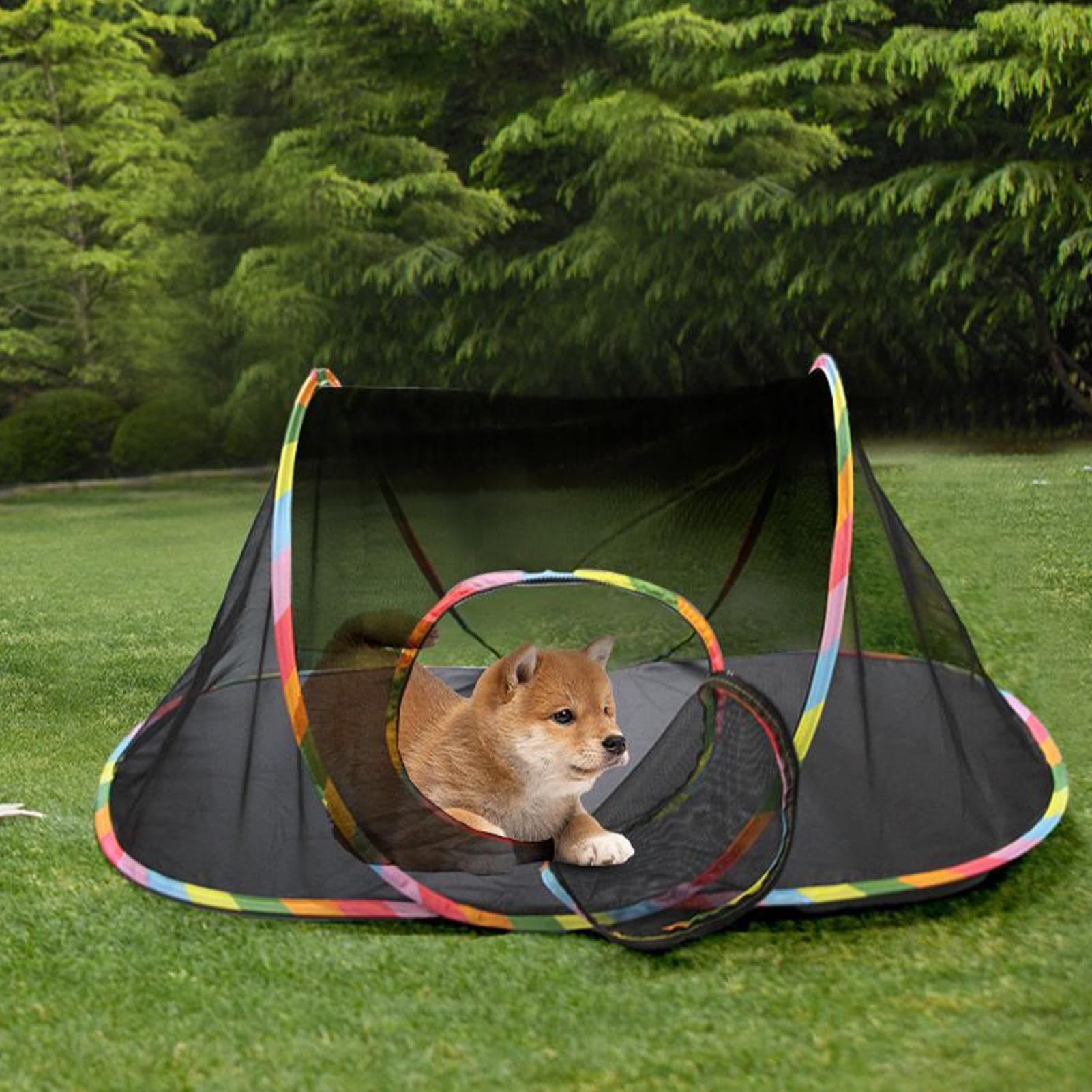 Tienda de campaña de malla transpirable para gatos, para exteriores, túnel portátil para gatos, parque infantil plegable, tienda cerrada compacta, jaula interactiva para cachorros y perros para jugar