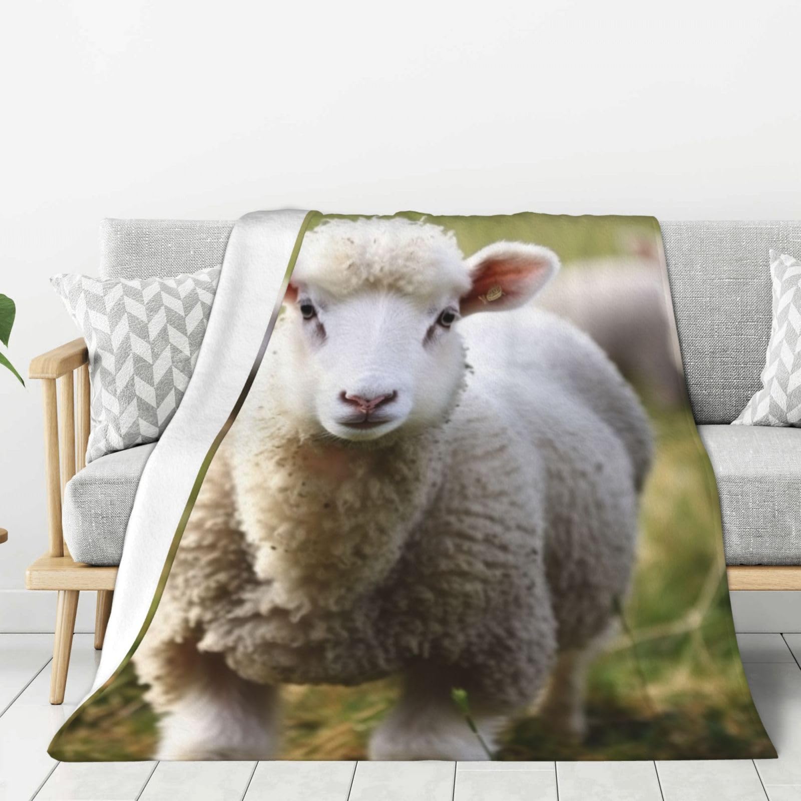 Couverture peluche chaude motif mouton pour éliminer le froid sur le canapé