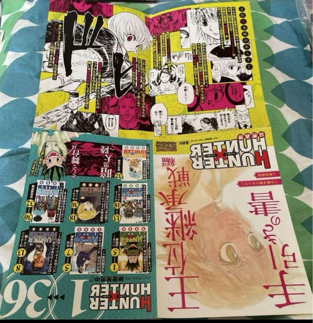 Amazon.co.jp: HUNTER × HUNTER 王位継承戦 手引きの書 チラシ1枚 冨樫