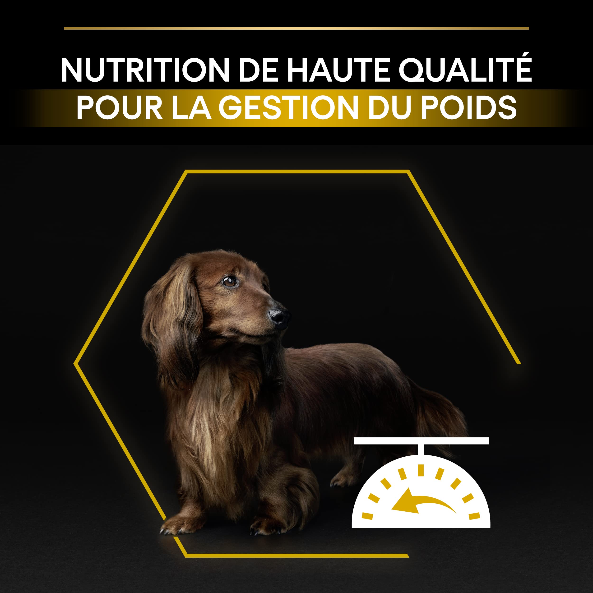 PURINA PRO PLAN | Light/Stérilisé| Chien Adulte de petite taille et mini | Croquettes Riches en Protéines| Au Poulet| Favorise la gestion du Poids | Sac | 7 KG