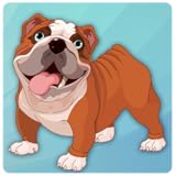Pet Bulldog 3D