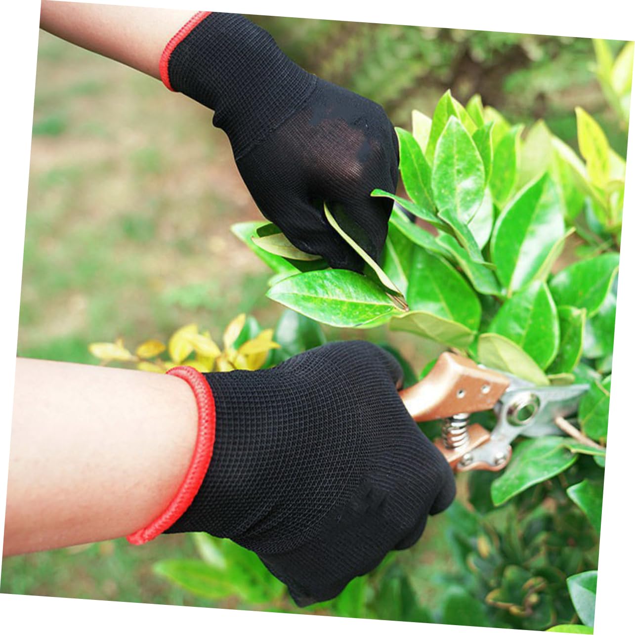 IWOWHERO -resistant Waterproof Gardening Gloves Work Gloves for Women Bulk Pack Daily Use Comfort Fit