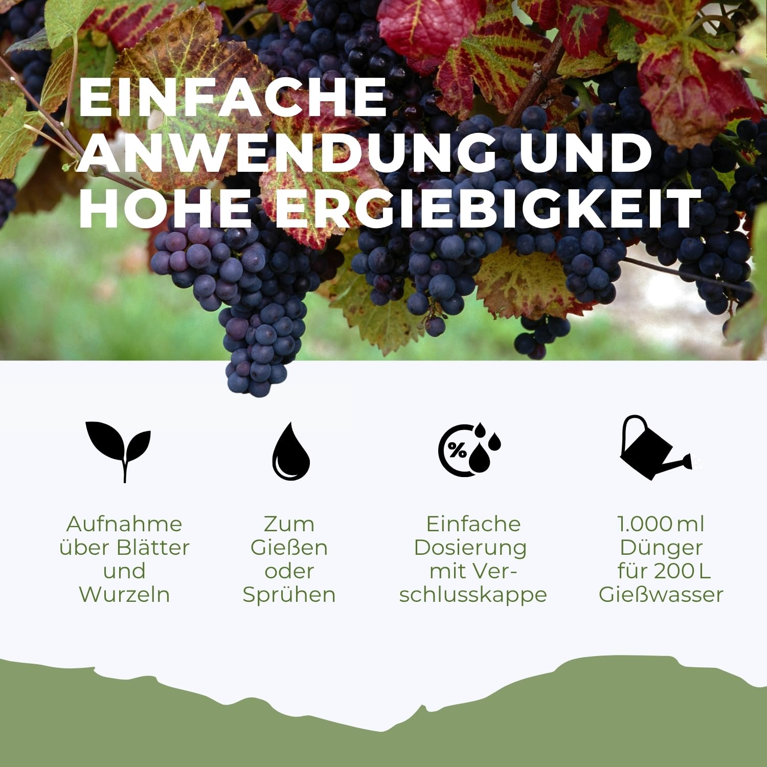 Flora Boost Weinreben Dünger Flora Boost 5000ml I Für bis zu 1000L Gießwasser I Für gesunde Weinreben & Schutz vor Mehltau I Flüssiger Blatt- & Wurzeldünger I 100% natürlicher Pflanzendünger