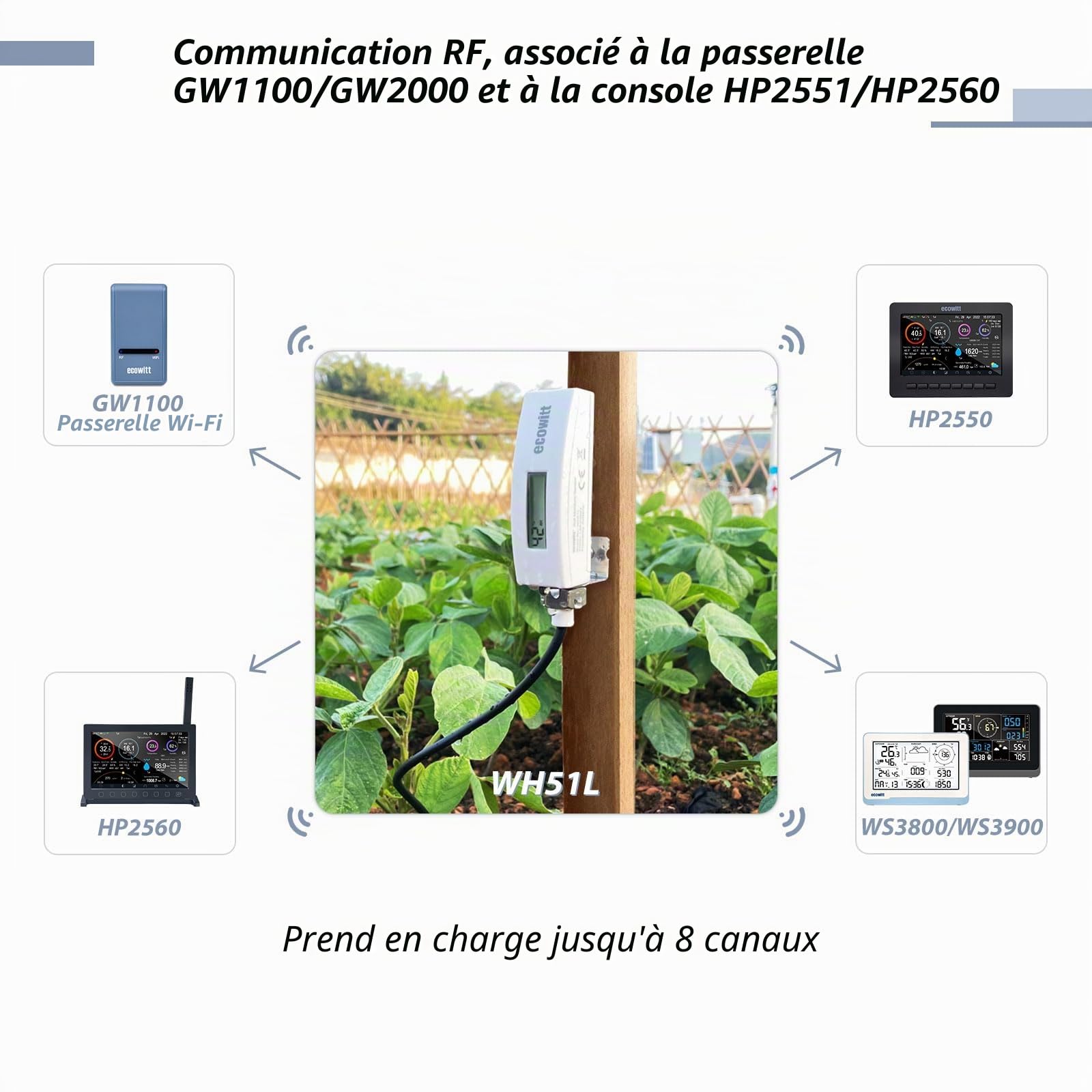 ECOWITT Capteur d'humidité du sol WH51L avec câble de 1 m, moniteur d'humidité des plantes à 8 canaux avec écran LCD, hygromètre de sol extérieur, capteur d'hygromètre de sol intérieur pour maison
