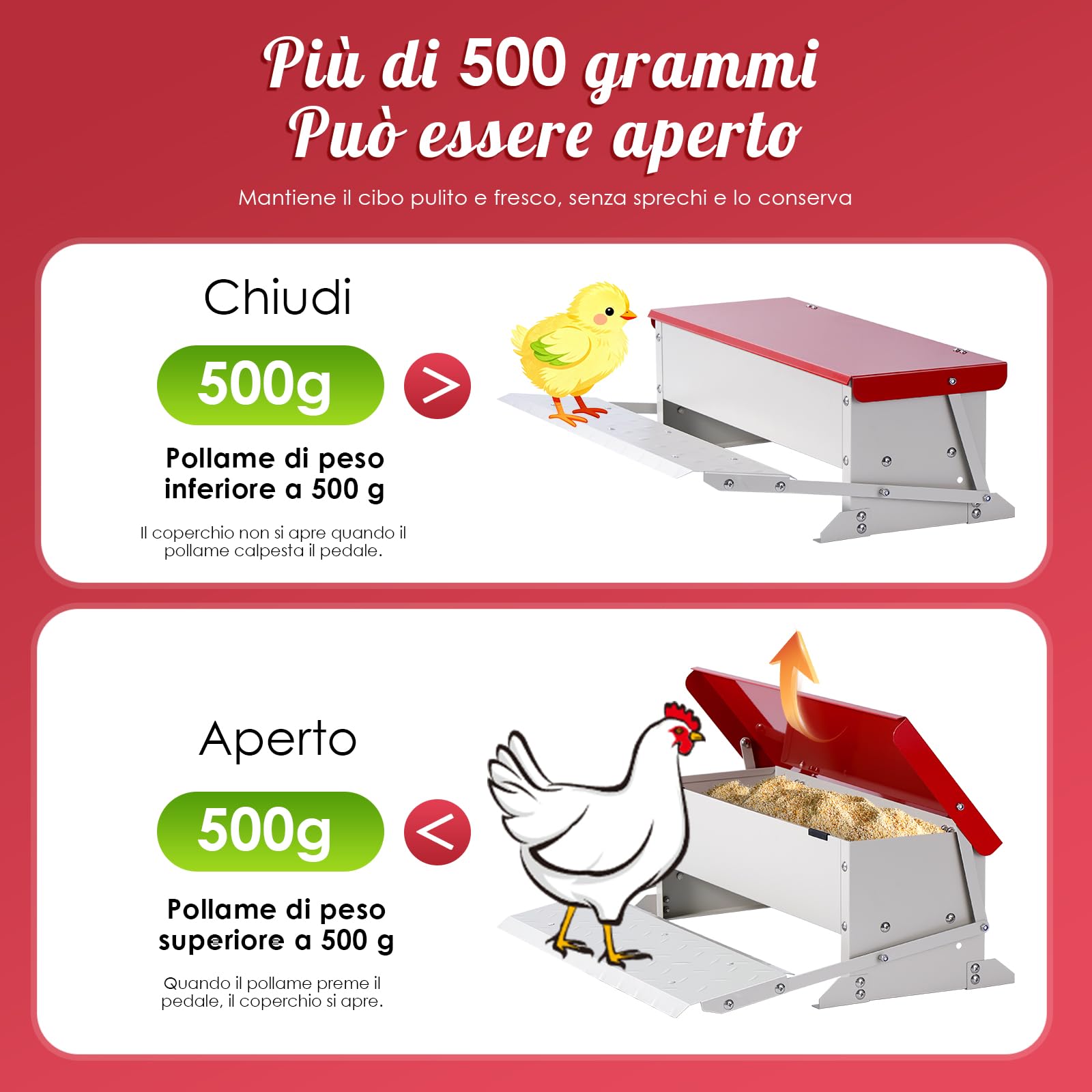 Mangiatoia per polli (volume 5 kg), acciaio zincato, meccanismo a pedana con pedana, coperchio impermeabile, mangiatoia a prova di ratti per pollame come polli, anatre, oche