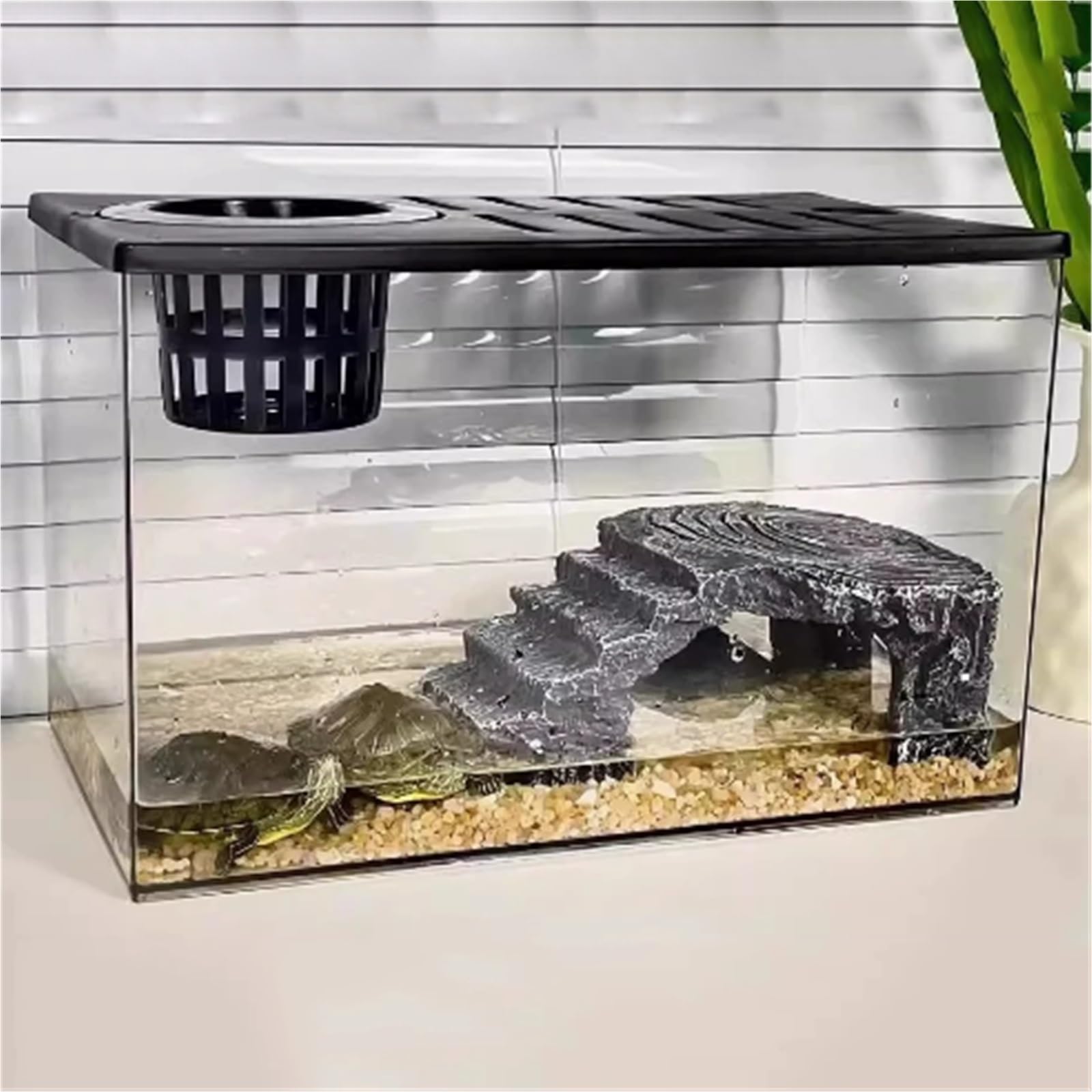 Siedlisko terrarium Zamknięty zbiornik do karmienia żółwi, przezroczysty, mały pulpit Terrarium akwariowe