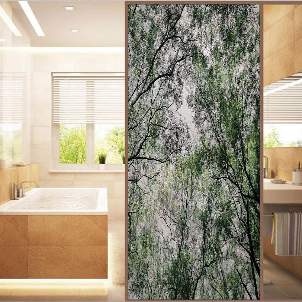 Decorative Window Film,No Glue Frosted Privacy Film,Stained Glass Door Film,Tree Branch in Spring Season Fairy Jungle Growth Nature Look Up Wood Scene,for Home & Office,23.6In. by 78.7In Green