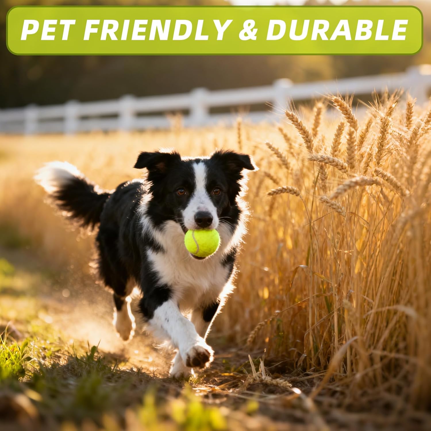 PoyPet 16-Pack Tennis Balls Bulk for Practice,Training and Beginners | Ideal for Dog Fetch,Chew and Play