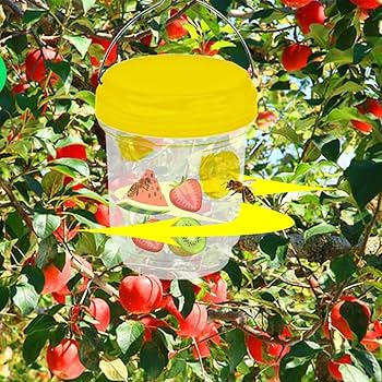 日本みつばち捕獲用トラップ Amazon.co.jp: ミツバチトラップ ハチ捕獲器 昆虫トラップ 吊り