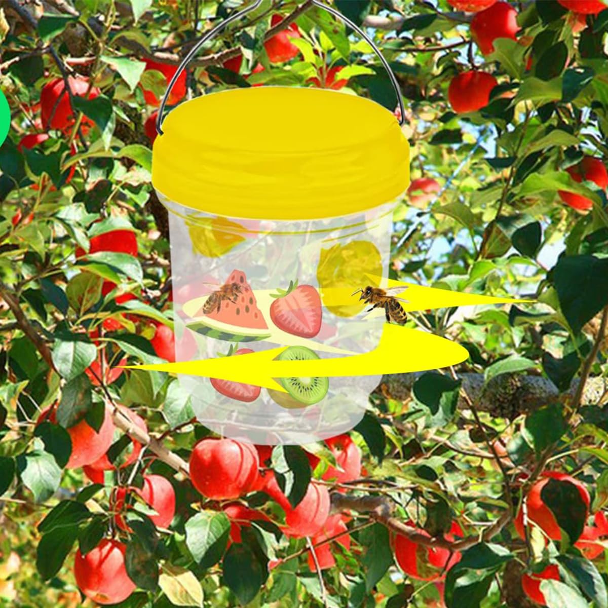 Amazon.co.jp: ミツバチトラップ ハチ捕獲器 昆虫トラップ 吊り下げ