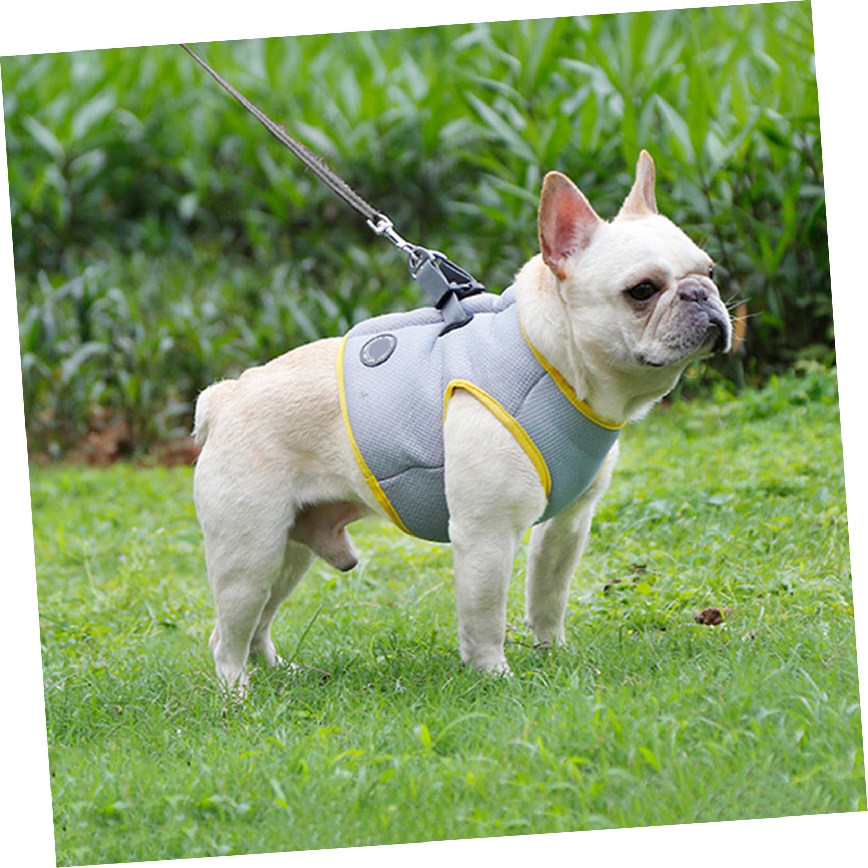 Sangle De Traction Pour Animaux De Compagnie Débardeurs Veste De Refroidissement Veste Rafraîchissante Pour Chien Camisoles Cool Gilet Sensation De Fraîcheur La Laisse Du Chien