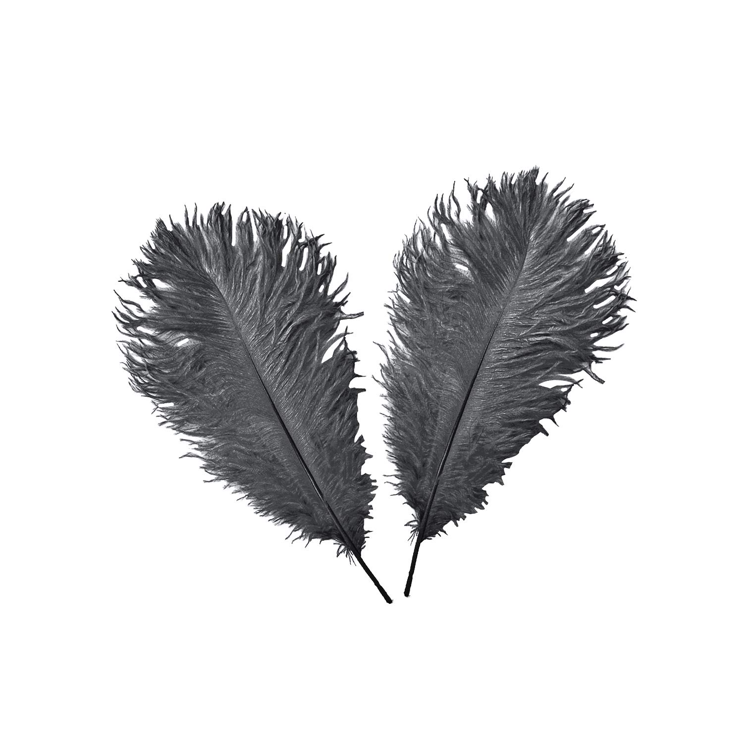 WedDecor Black Natural Ostrich Feathers 14-16" (35-40cm) Long for Wedding Centerpieces, Home, Decorating Costumes, Embellishment, Art & Craft, Parties (Pack of 10)