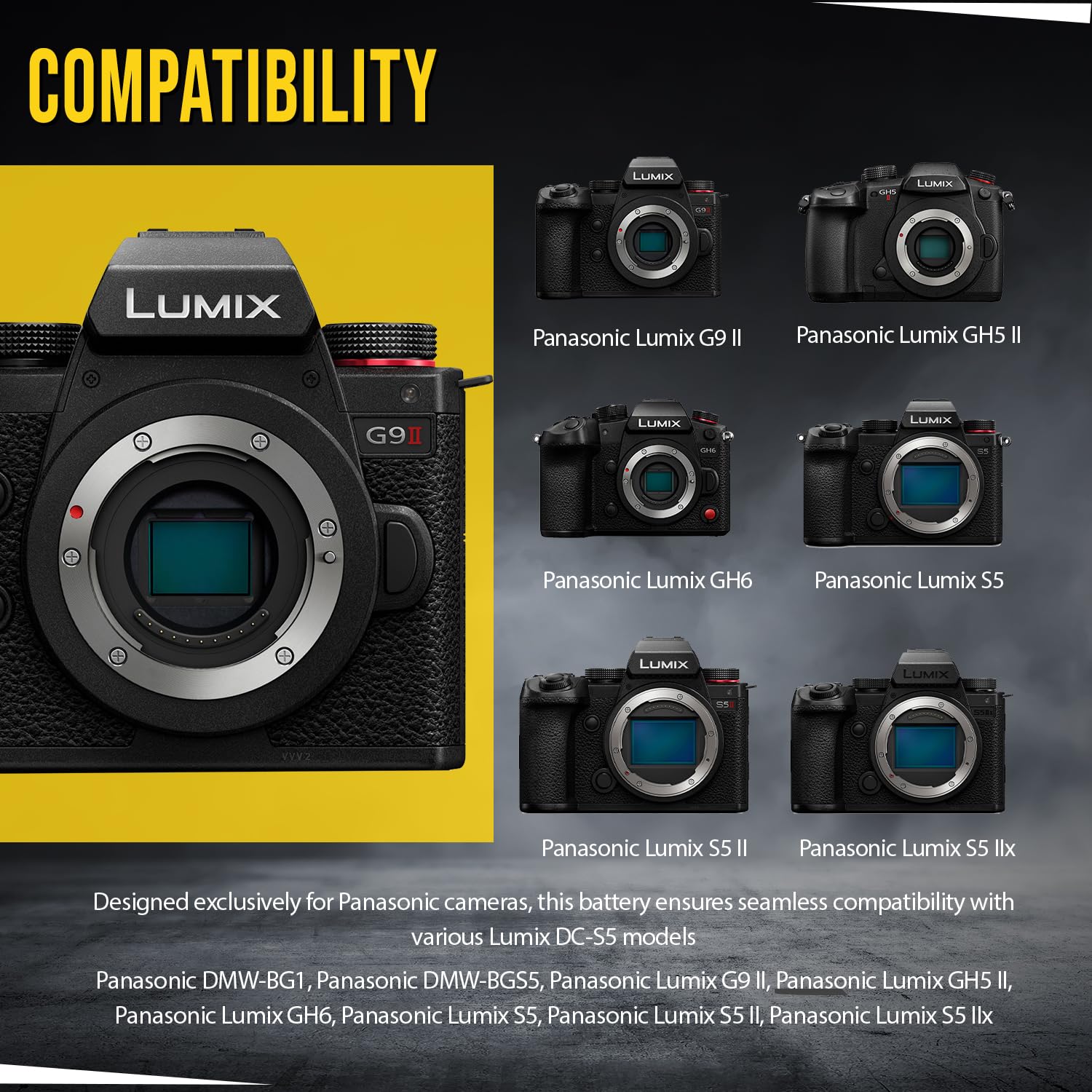 Panasonic - Panasonic LUMIX S5用　バッテリー2個セット Amazon.com: BM Premium 2 Pack of DMW-BLK22 Replacement