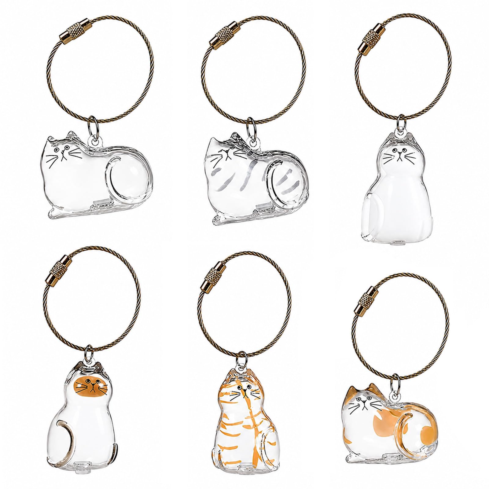 6 PCS Cat Hair Keychain Set, Clear Pet Fur Storage Pendant, Cat Lover Gift
