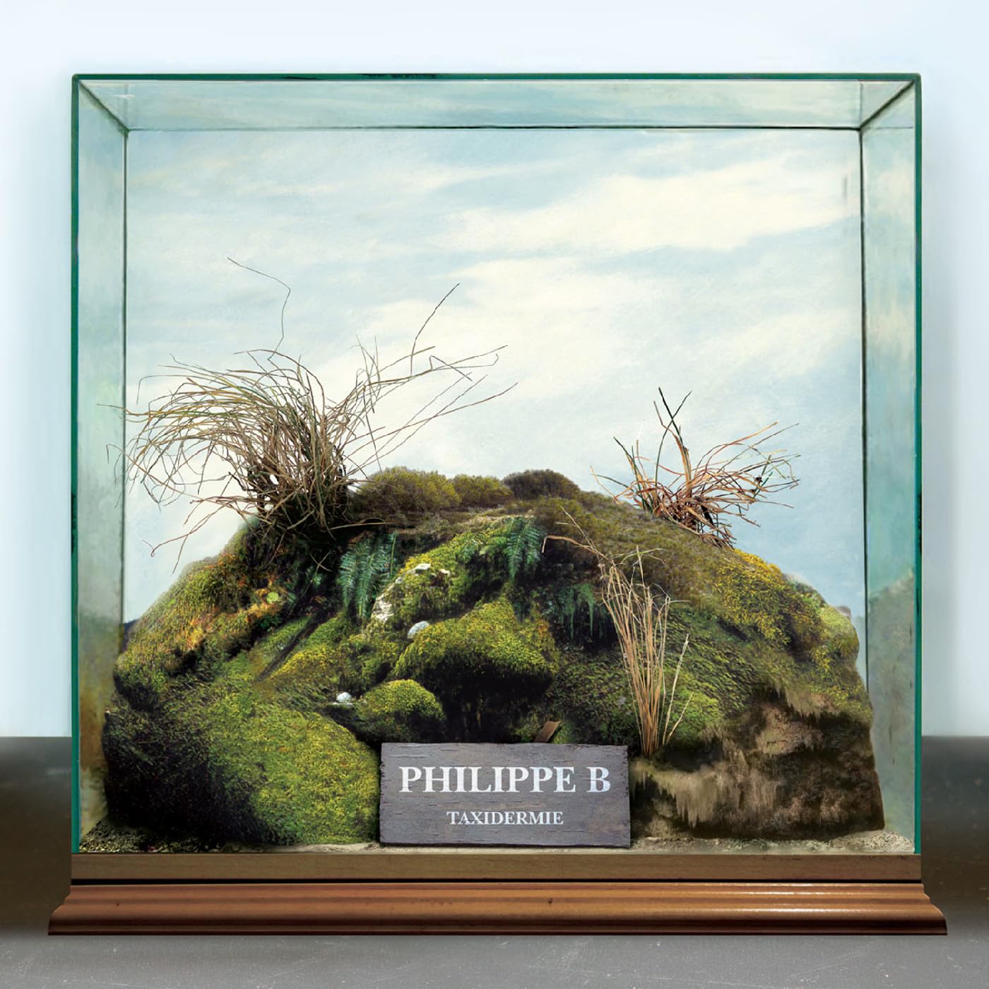 Taxidermie [Audio CD] Philippe B