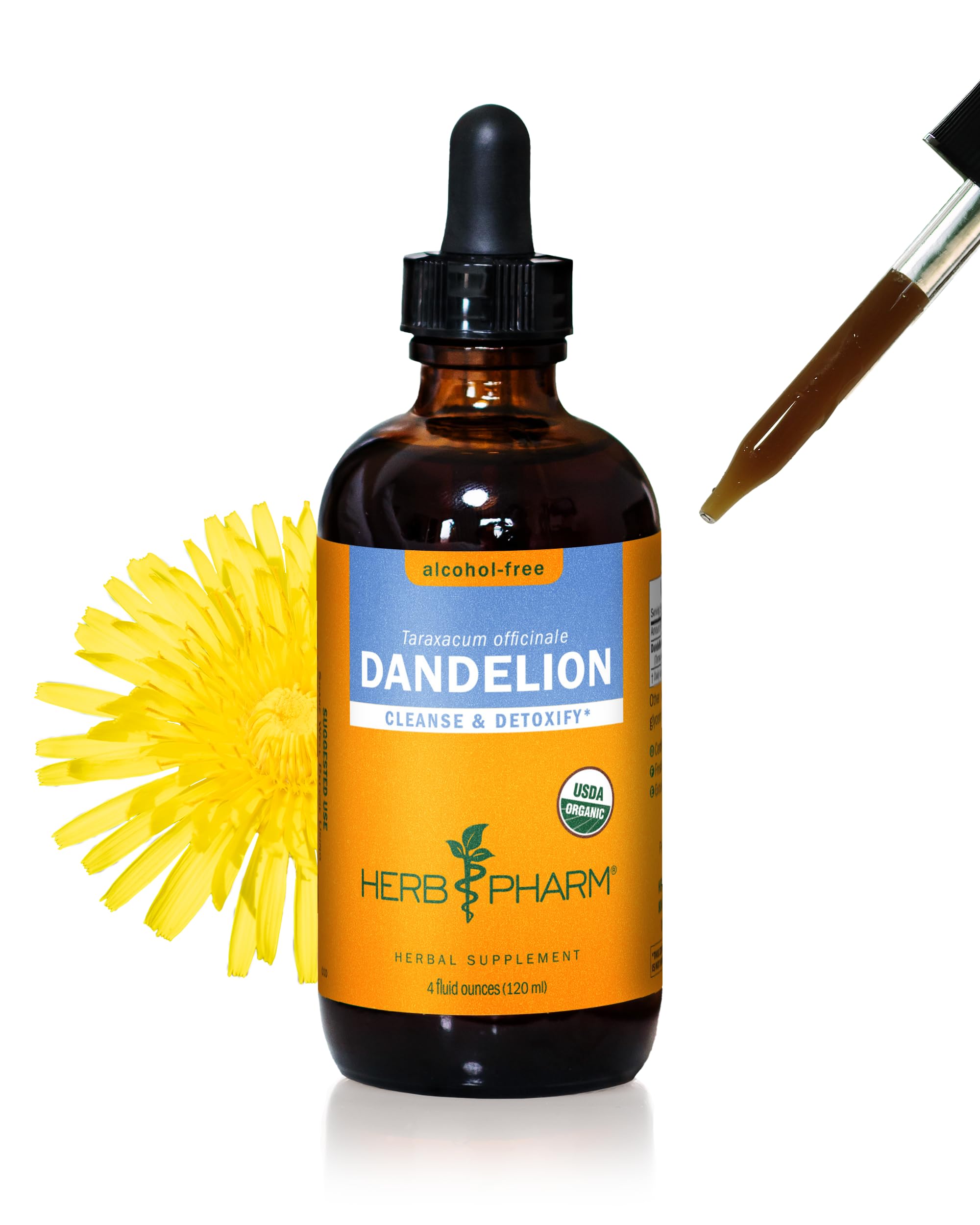 Herb Pharm DANDELION GLYCERITE 1 OZ:00061