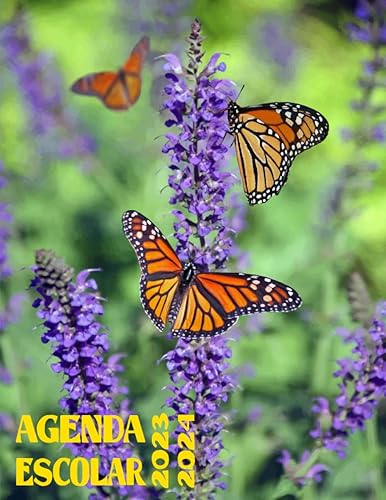 Agenda Escolar 20232024 Mariposa Calendarios, Universidades - y planificadores escolares, planificadores escolares con calendario, planificadores