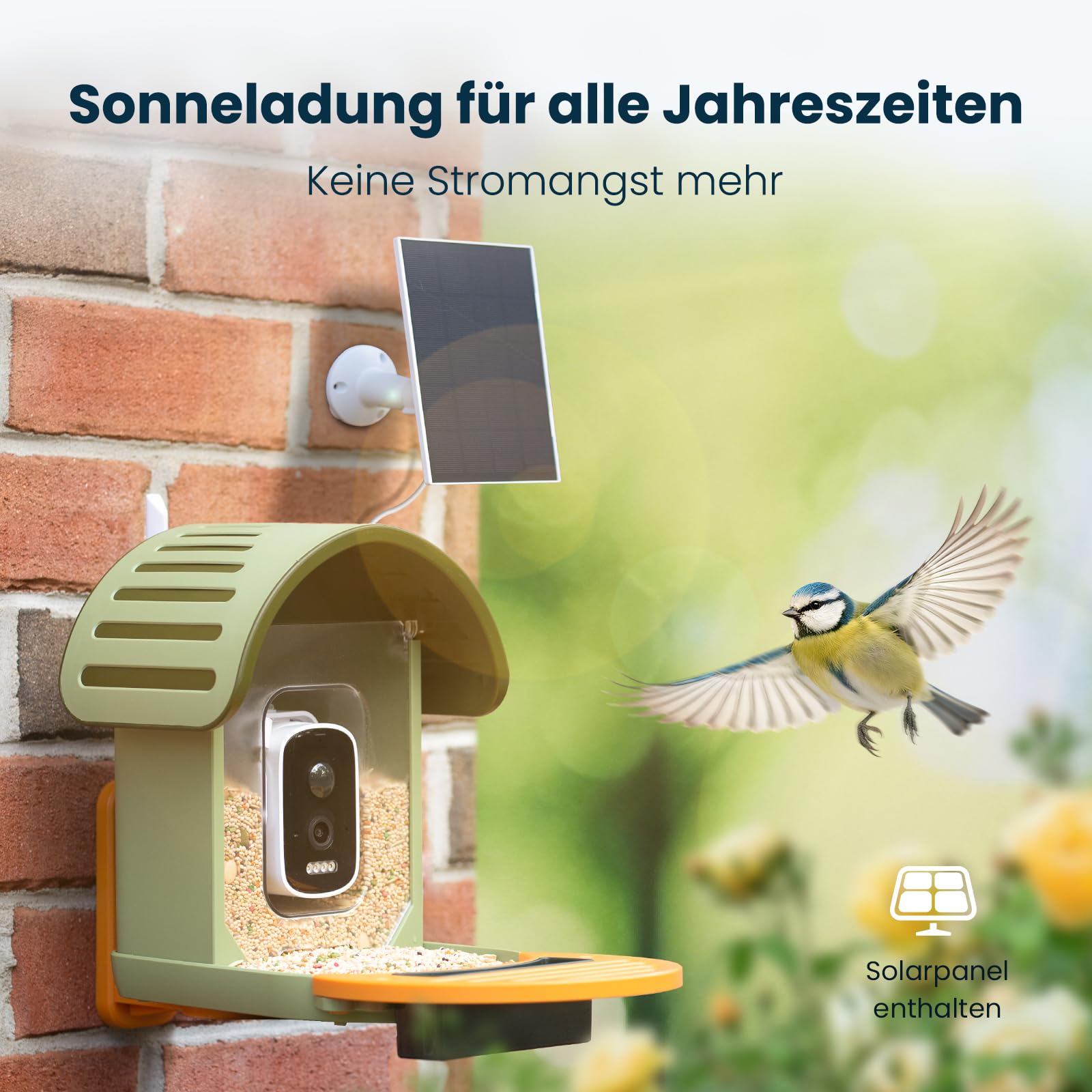 Vogelhaus mit Kamera, 2,5K UHD, solarbetrieben, präzise KI-Erkennung, sofortige Benachrichtigungen, wasserdicht nach IP66 für den Außenbereich, grün