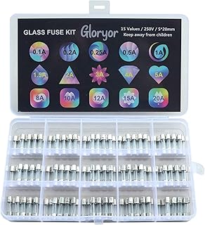 Gloryor 15 Valori 150 Pezzi Fusibili Vetro 5x20 mm 250V, Kit di Classificazione dei Fusibile a Fusione Rapida, 0.1 0.2 0.25 0.5 1 1.5 2 3 4 5 8 10 12 15 20A, Imballaggio in Scatola di Plastica