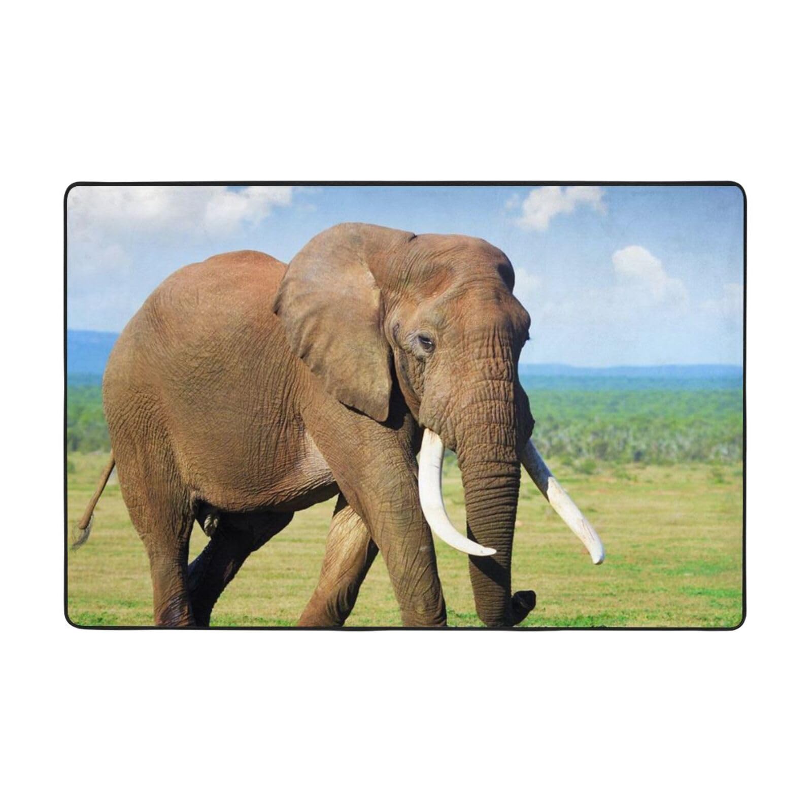 Tapis antidérapant et absorbant lavable pour salon