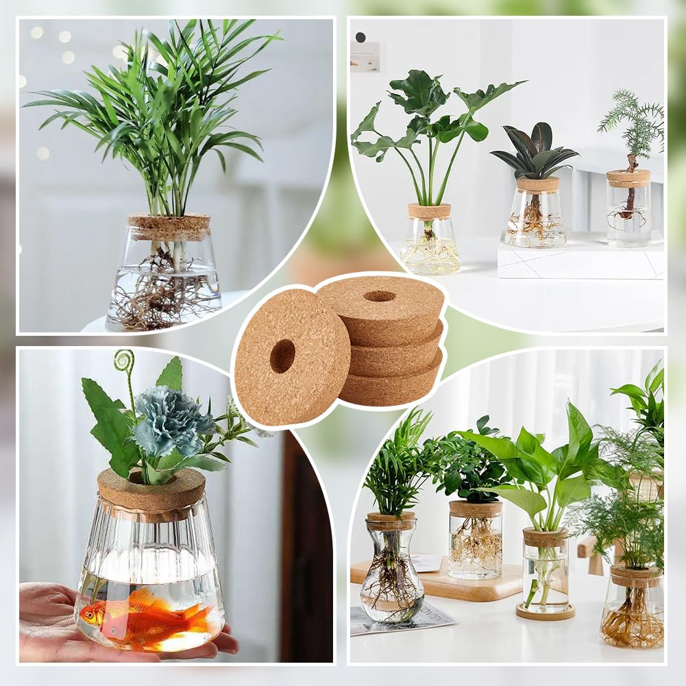 OLYCRAFT 4 Packung Korkdeckel Für Glaspflanzgefäße 10.6~12cm Hydrokulturdeckel 3cm Dicke Terrarium Korkabdeckungen Mit 3cm Loch Natürliche Korkstopfen Für Hydrokultur Pflanzenanzucht Anzuchtvasen