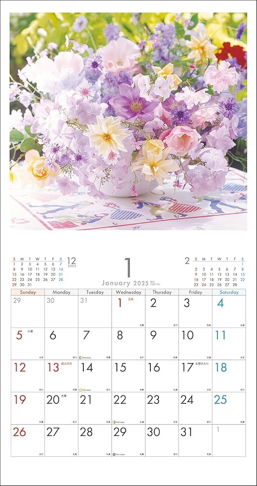 とーに　ページ もちもちこページ もちもちこページ zx(おもち) (@zx_aka_mo) / X