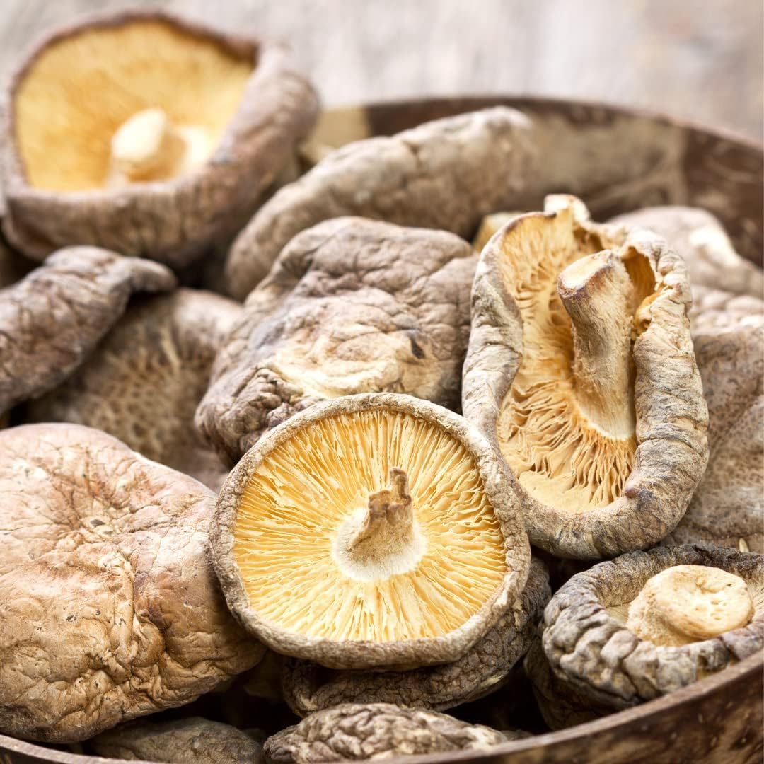 Shiitake Bio Champignons 200g, Champignon Shiitake Séchés Biologiques pour la Cuisine