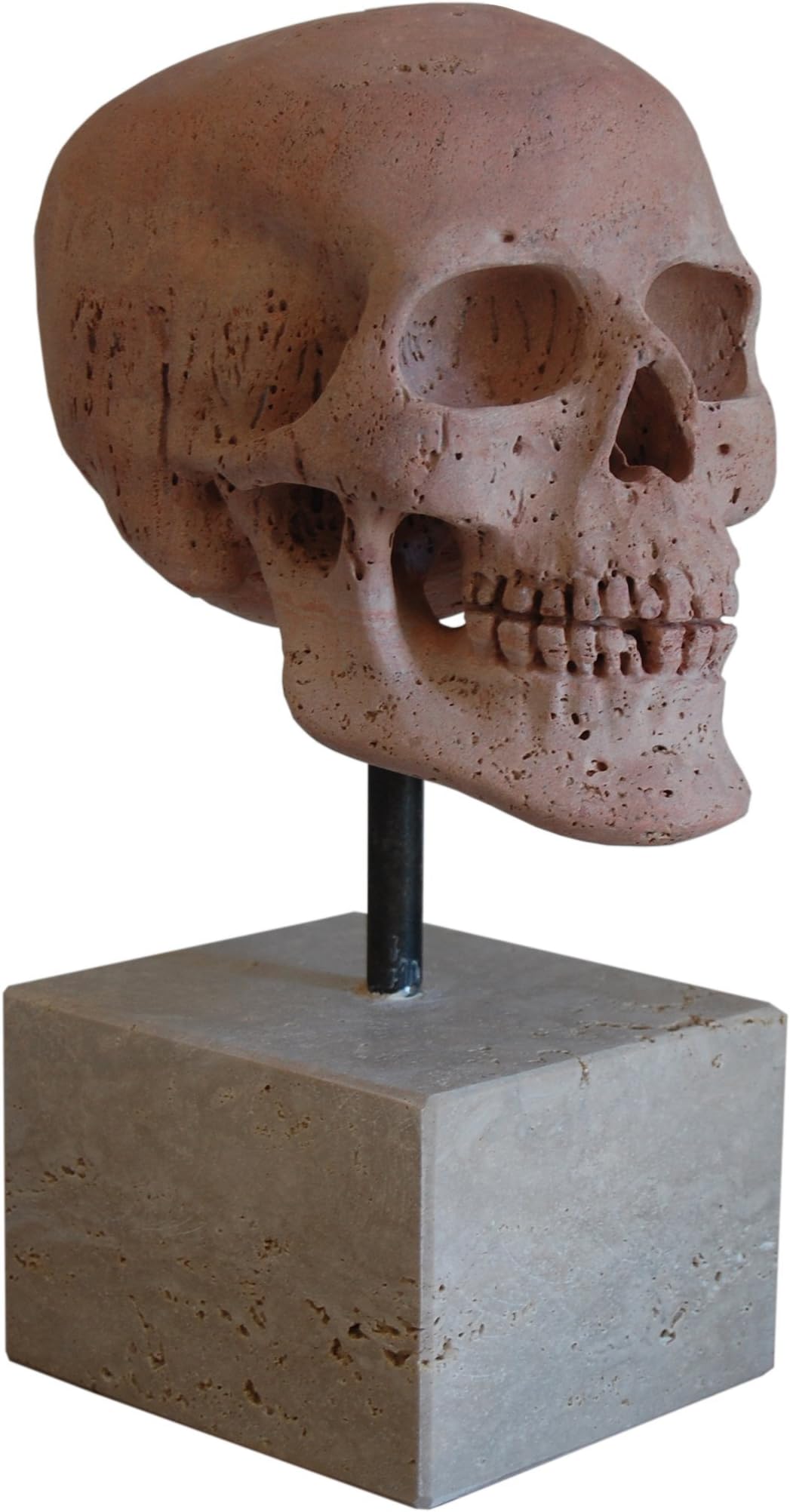 Skull, head sculpture carved on a red travertine stone