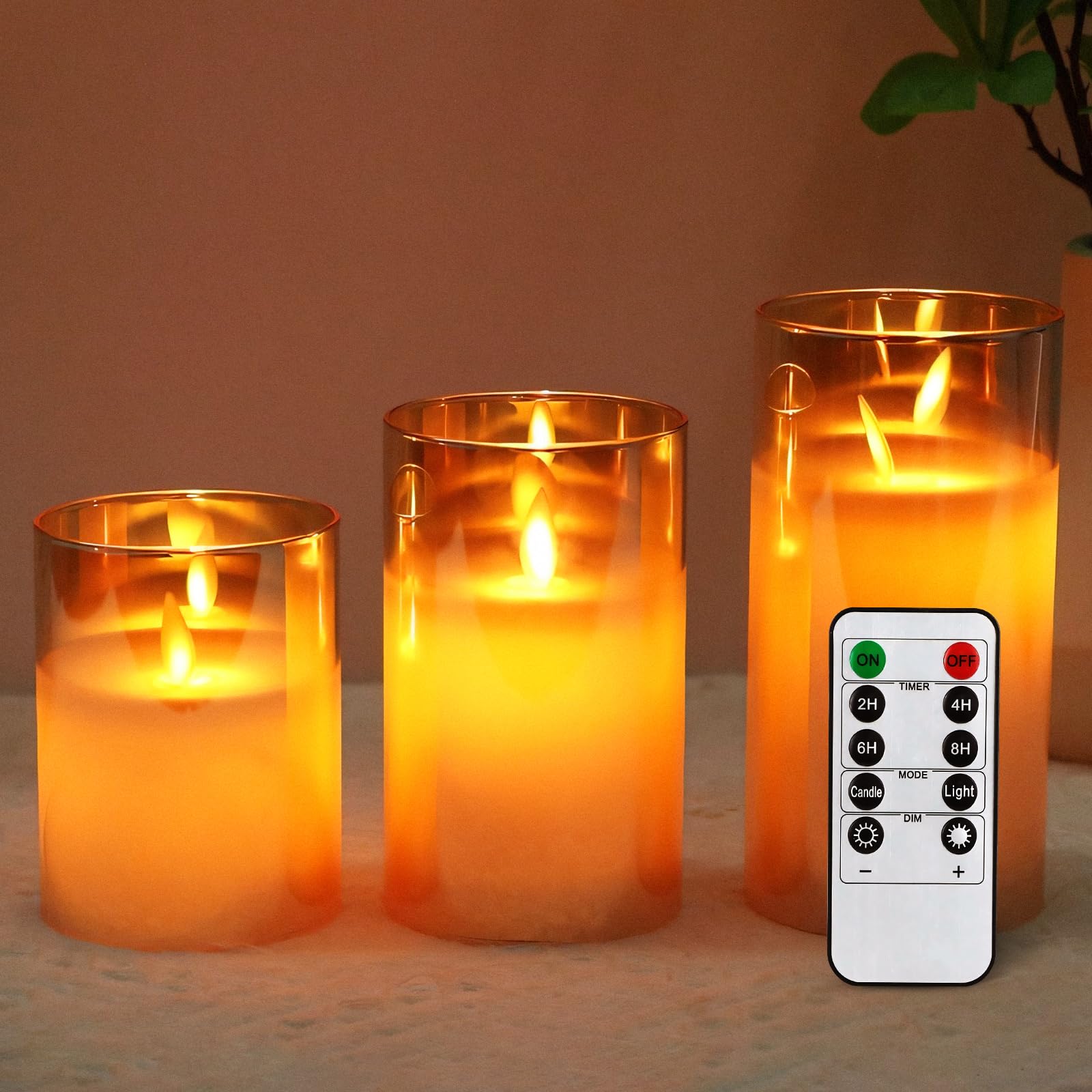 コロラドトウヒ キャンドルライト